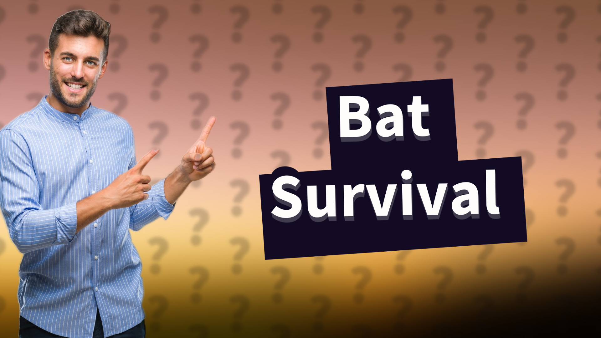 Bat Survival