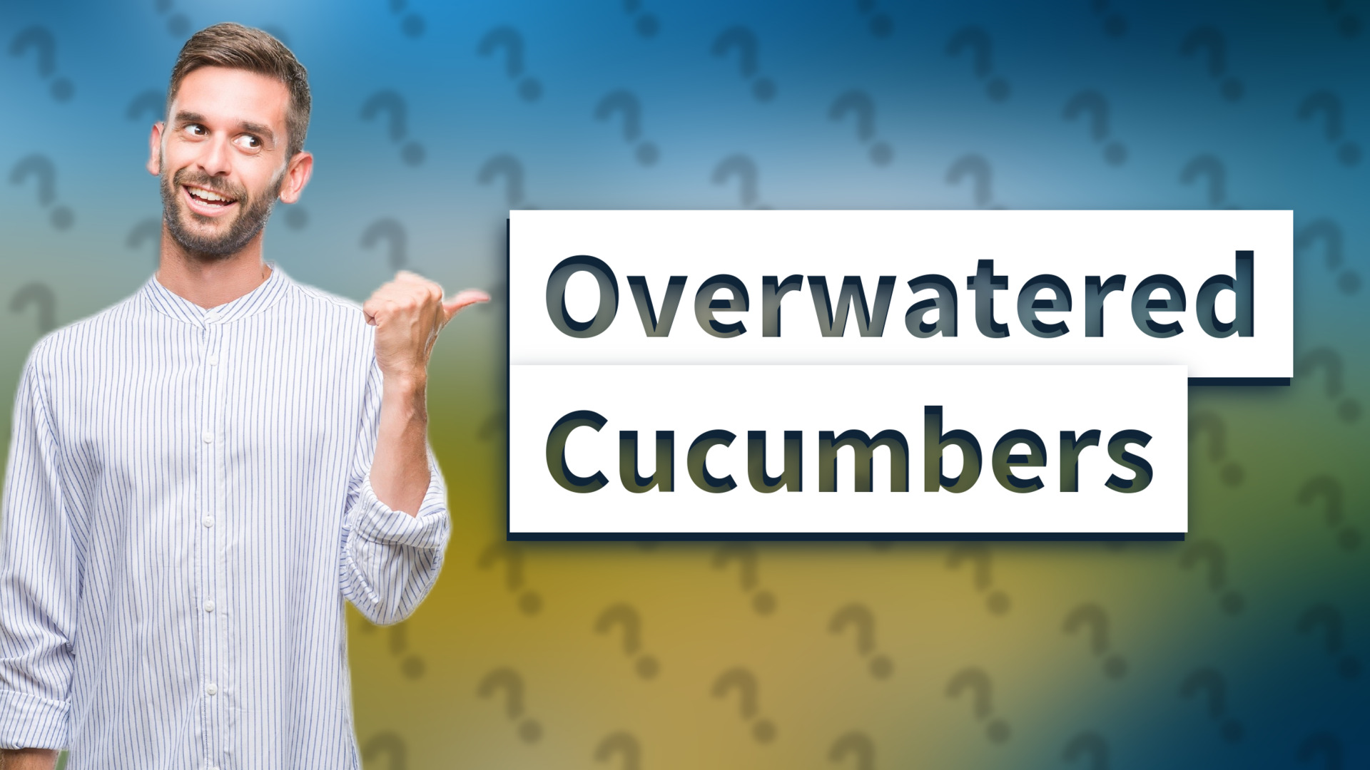 Overwatered Cucumbers