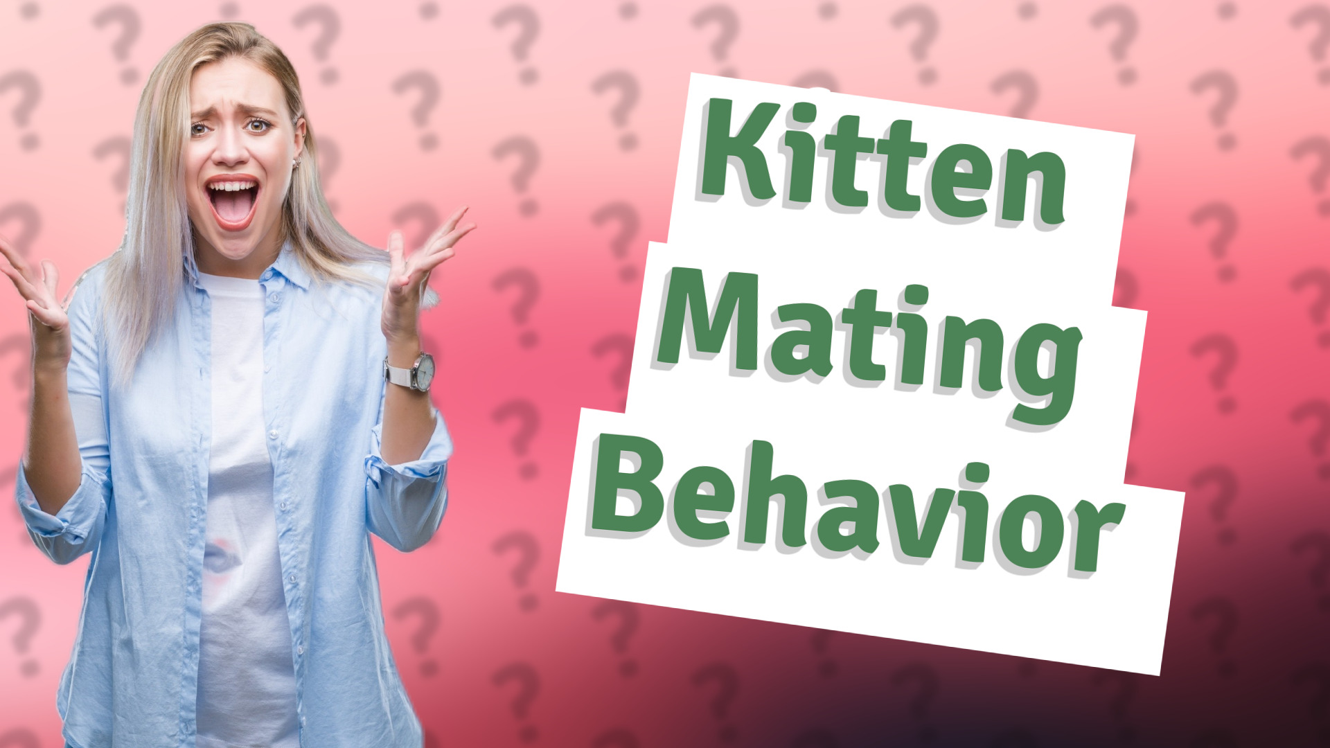 Kitten Mating Behavior