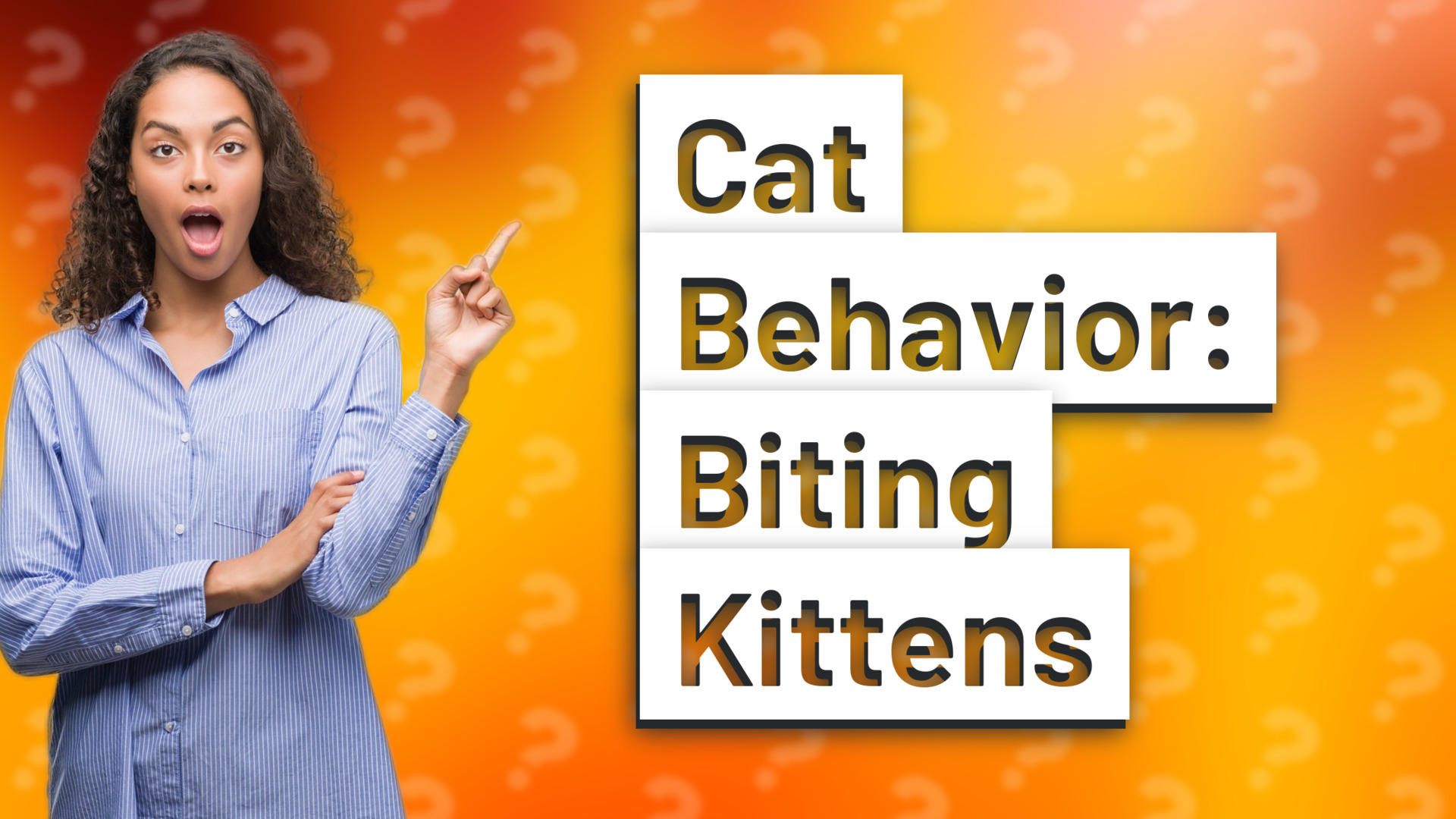 Cat Behavior: Biting Kittens