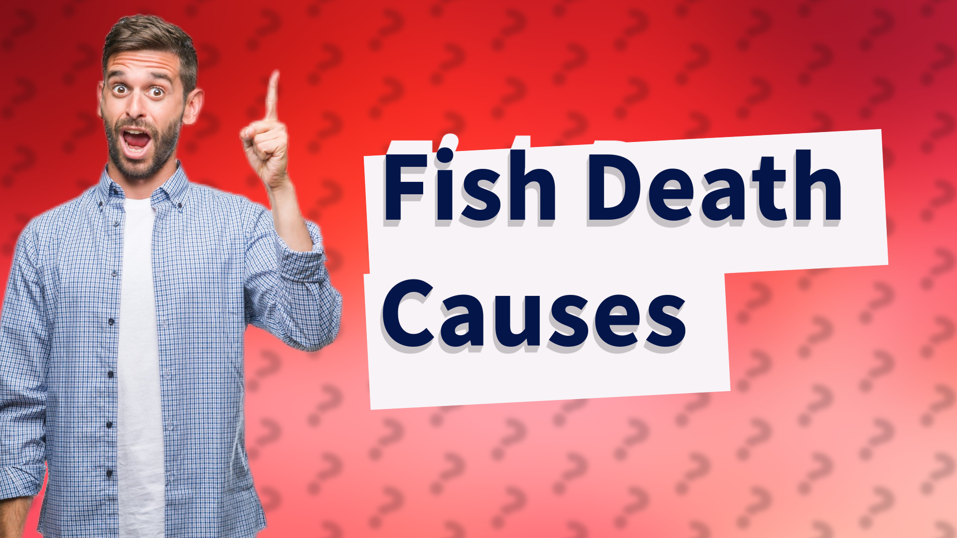 Fish Death Causes