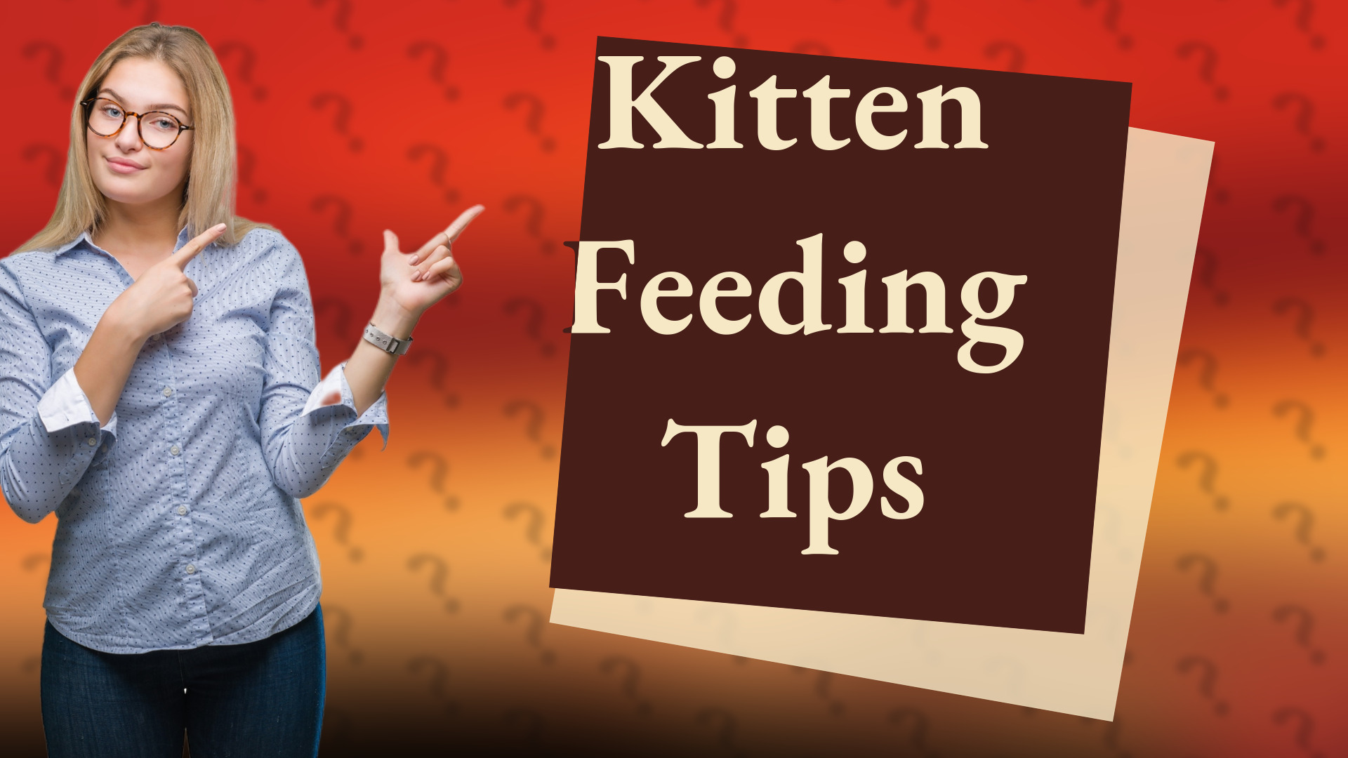 Kitten Feeding Tips