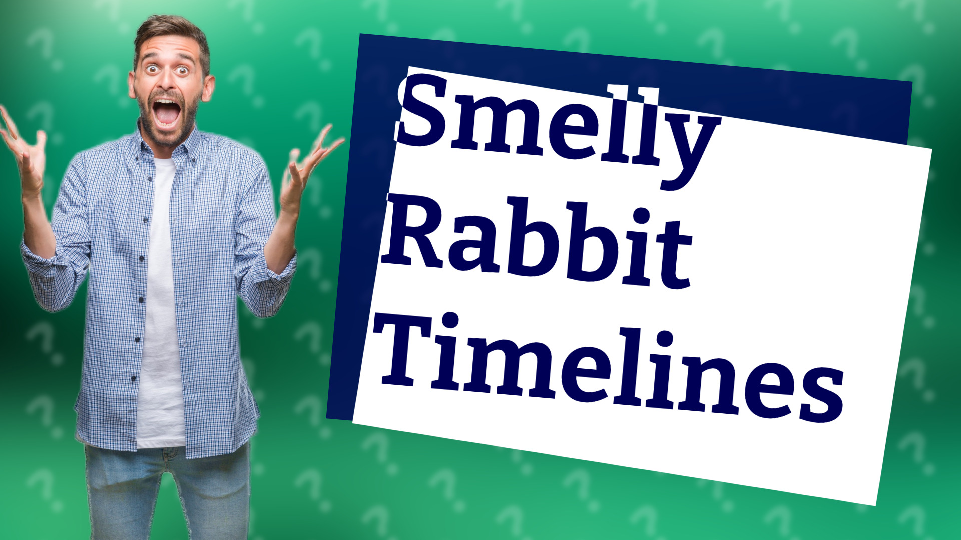 Smelly Rabbit Timelines