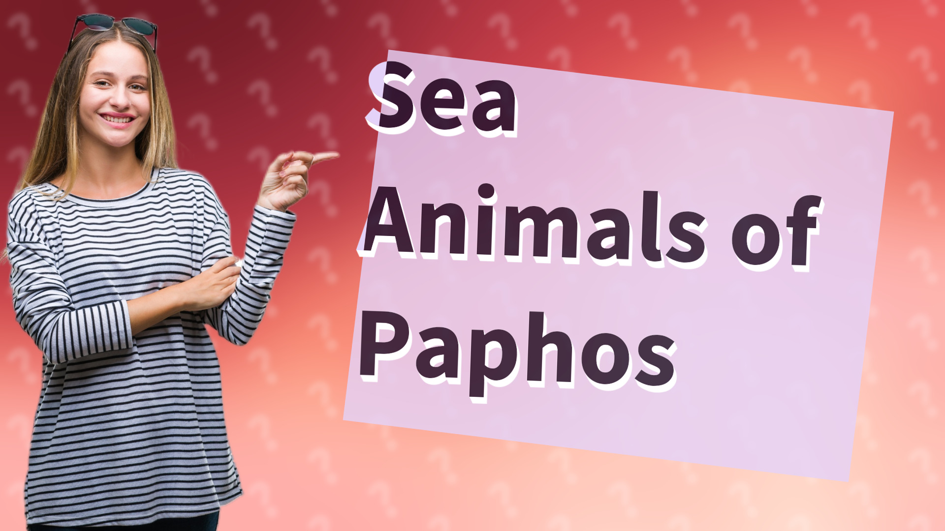 Sea Animals of Paphos