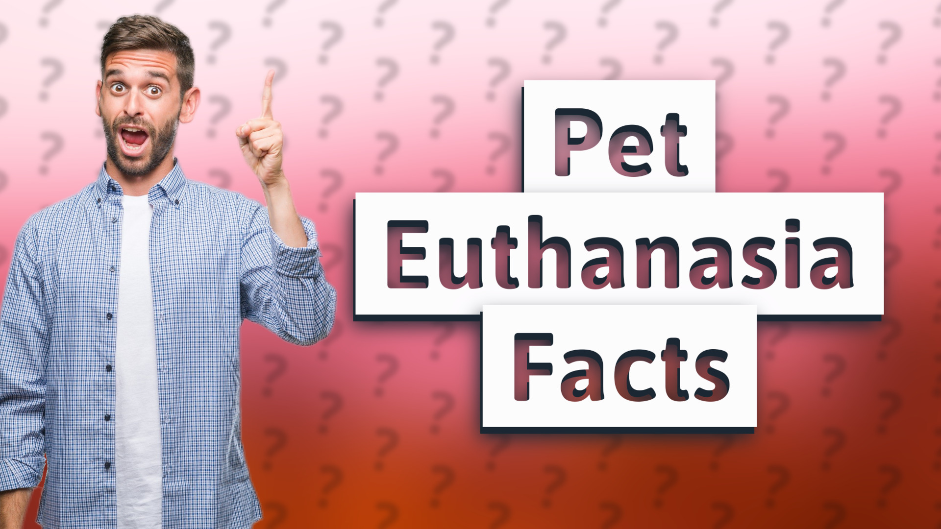 Pet Euthanasia Facts