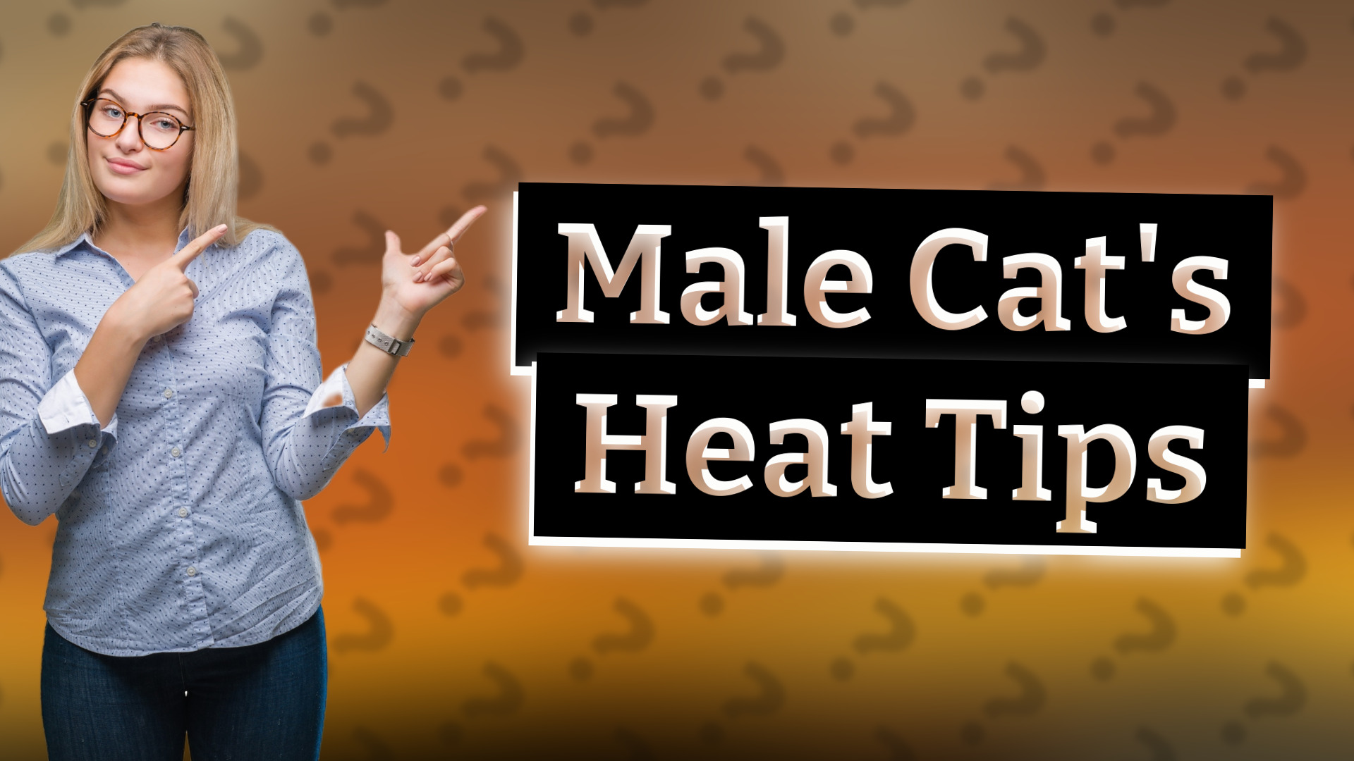 Male Cat's Heat Tips