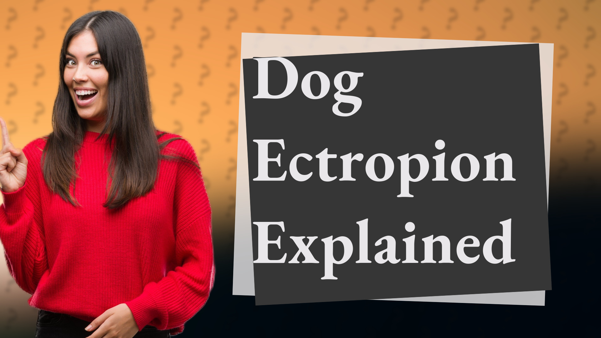 Dog Ectropion Explained