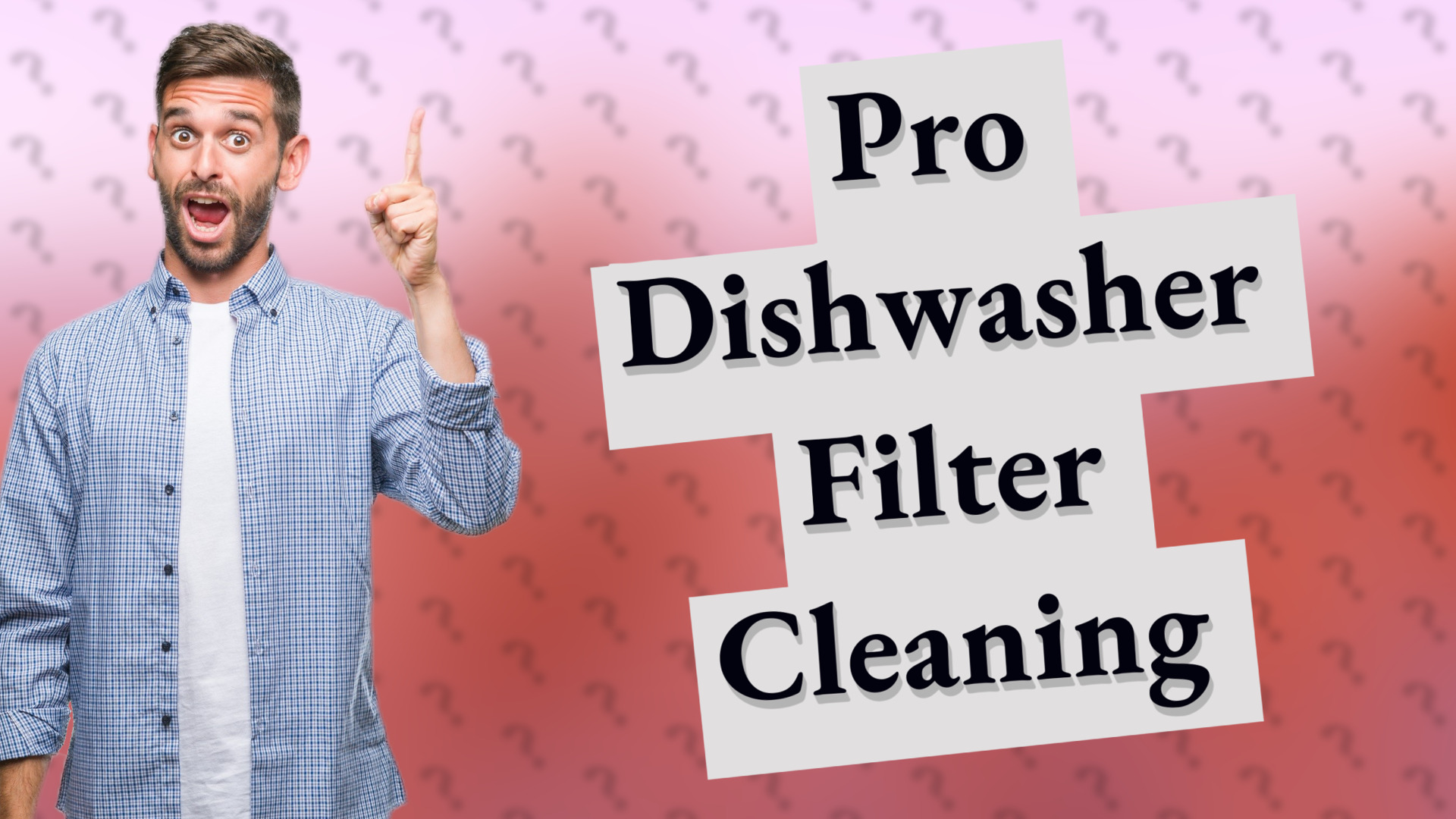 Pro Dishwasher Filter Cleaning