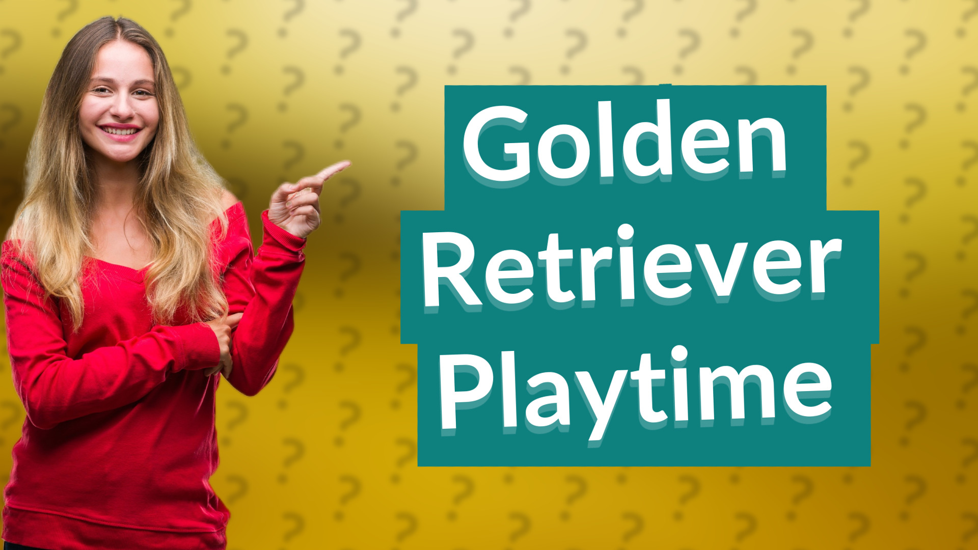 Golden Retriever Playtime