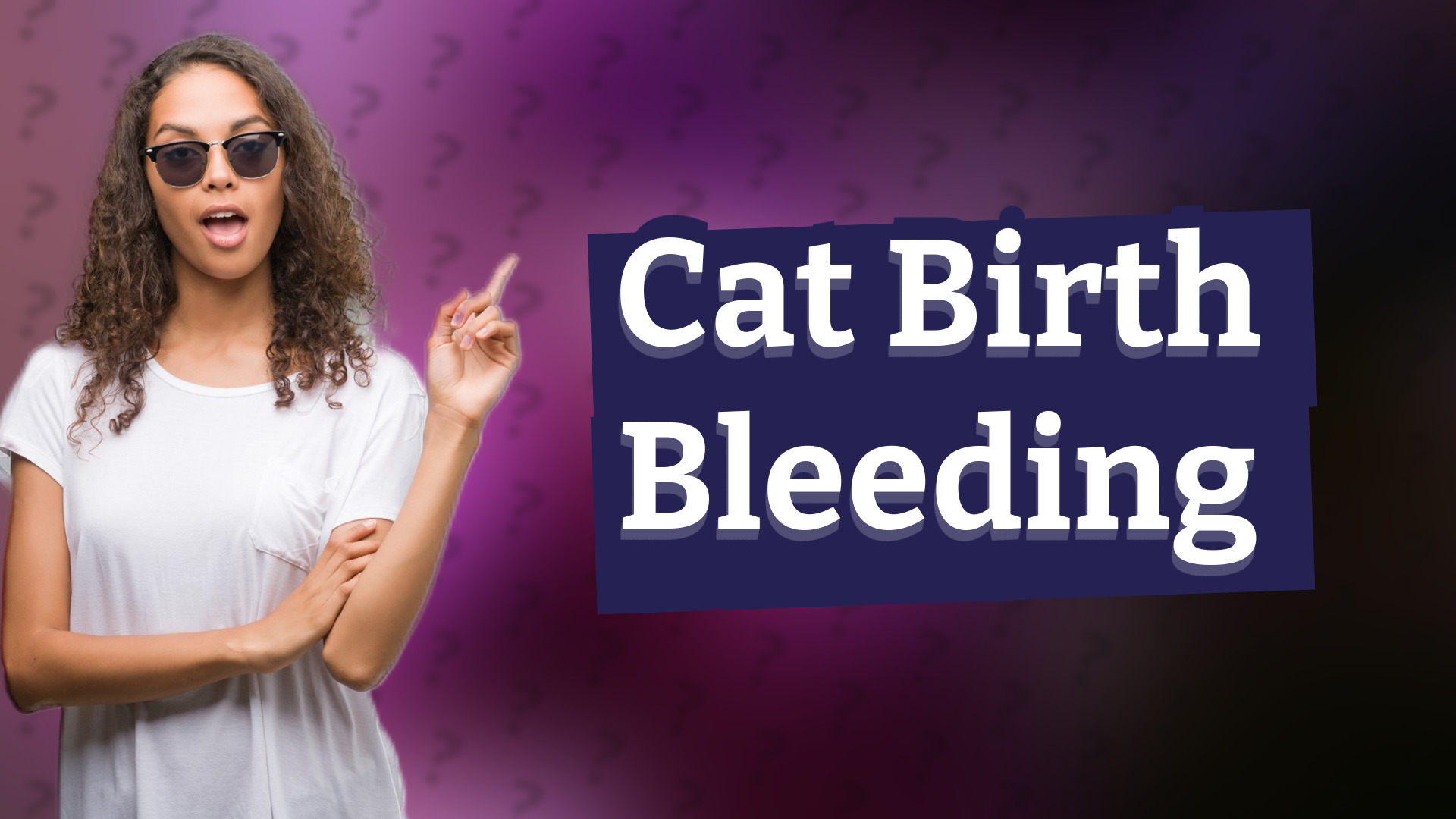Cat Birth Bleeding
