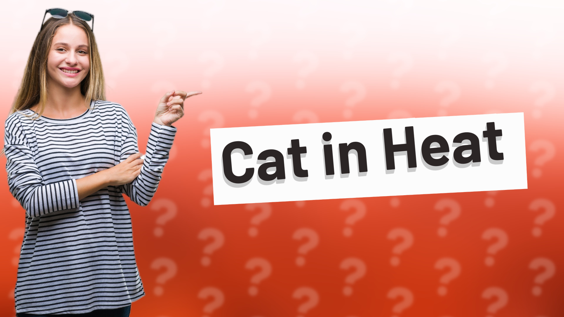 Cat in Heat