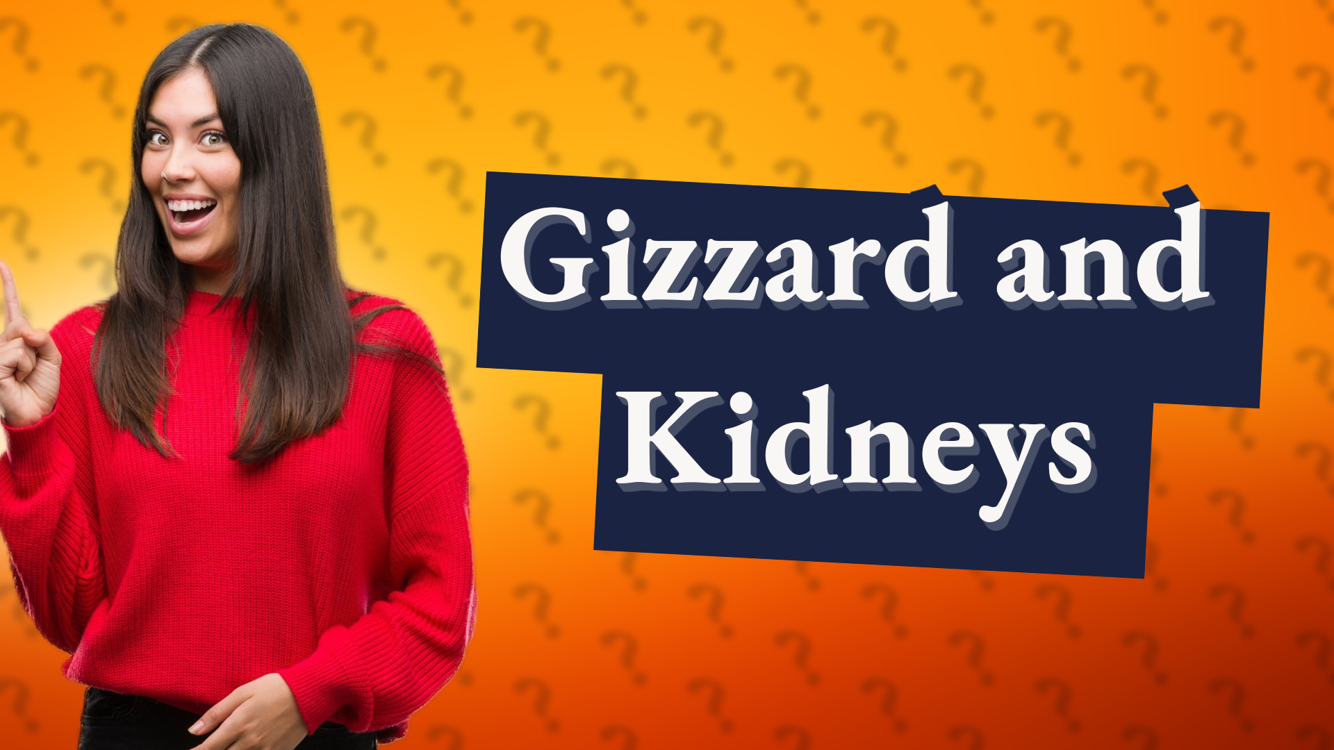 Gizzard and Kidneys