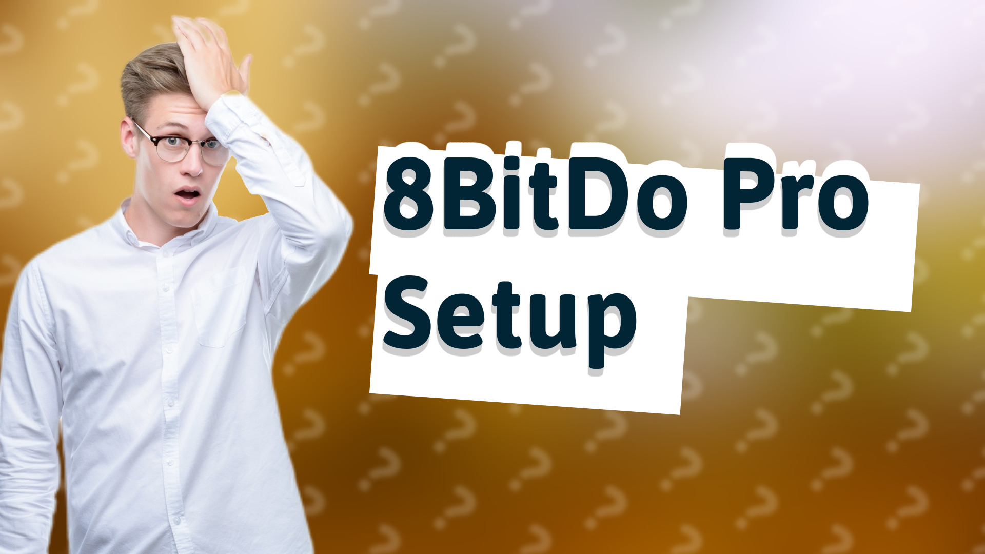 8BitDo Pro Setup