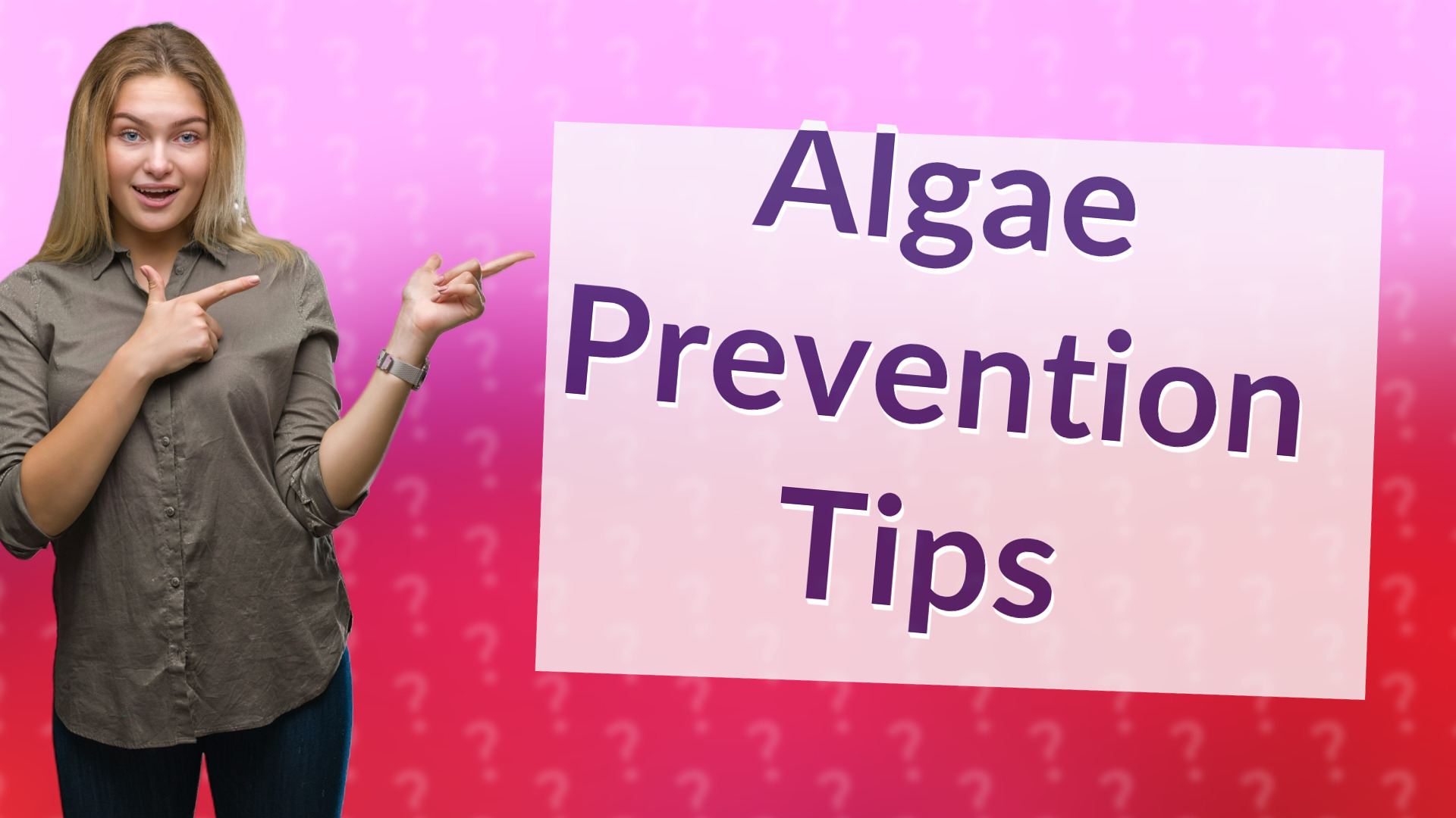 Algae Prevention Tips