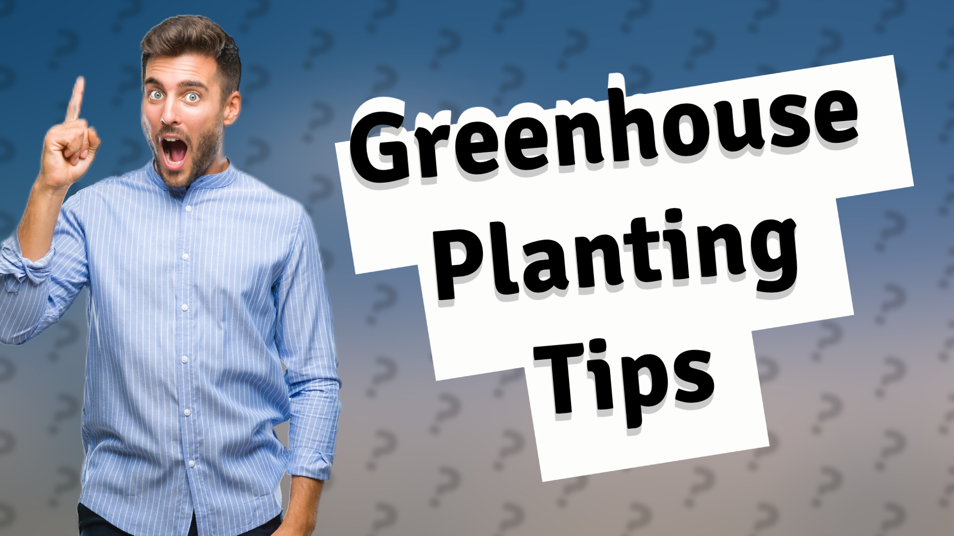 Greenhouse Planting Tips