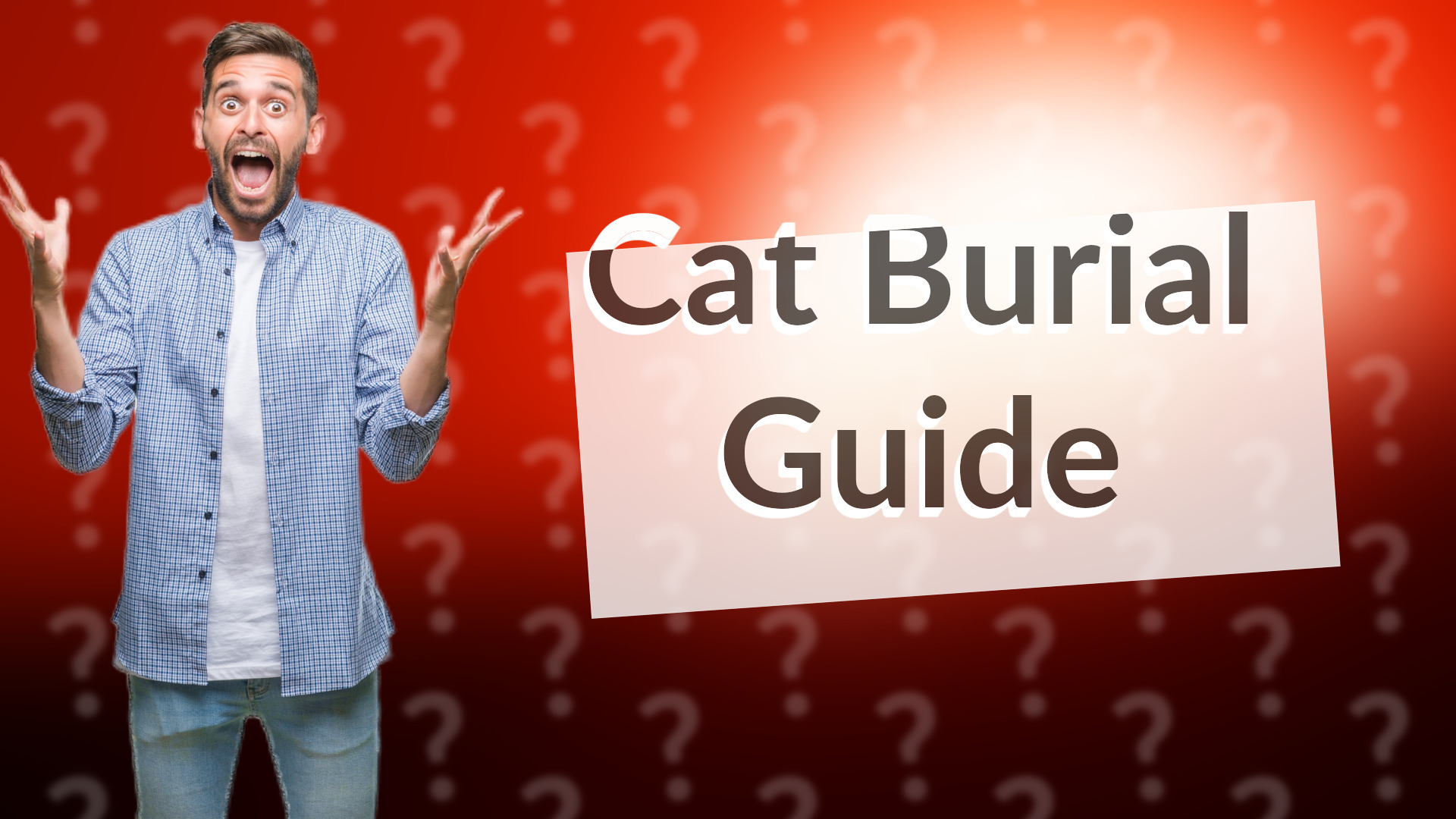 Cat Burial Guide