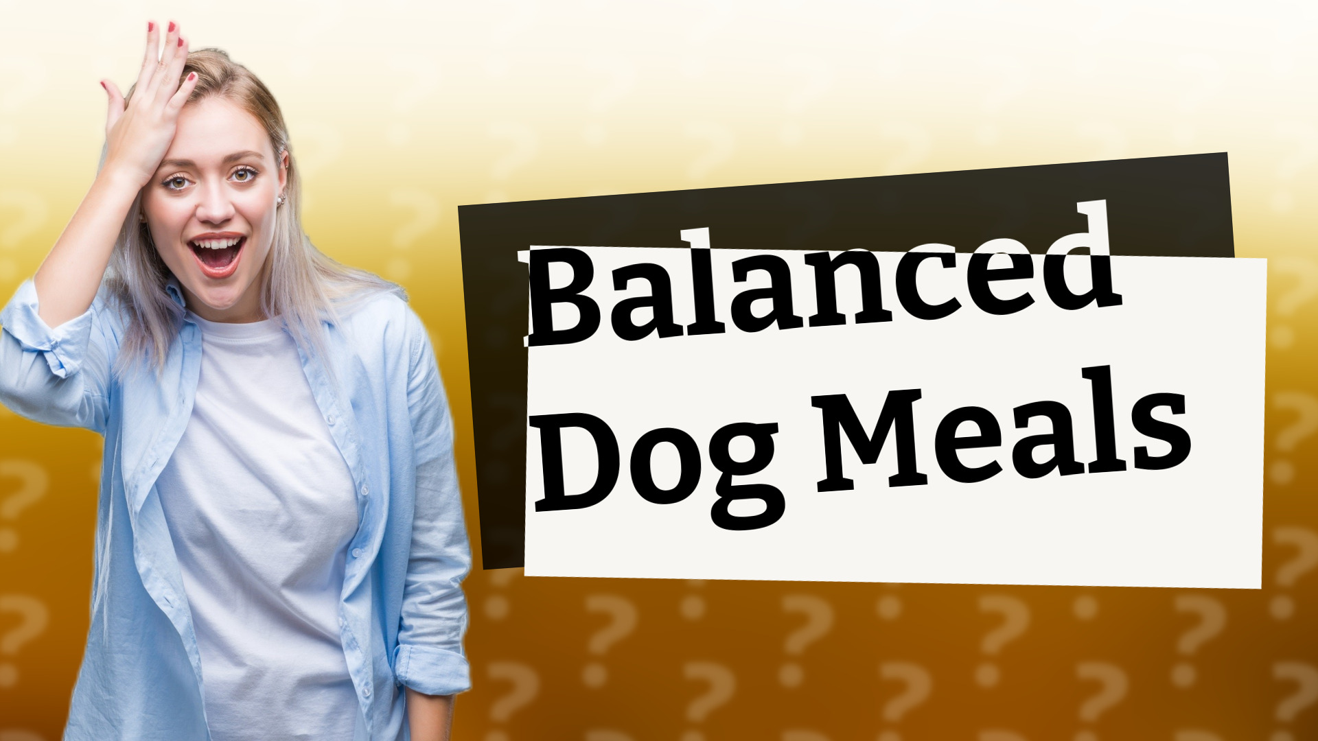 Balanced Dog Meals