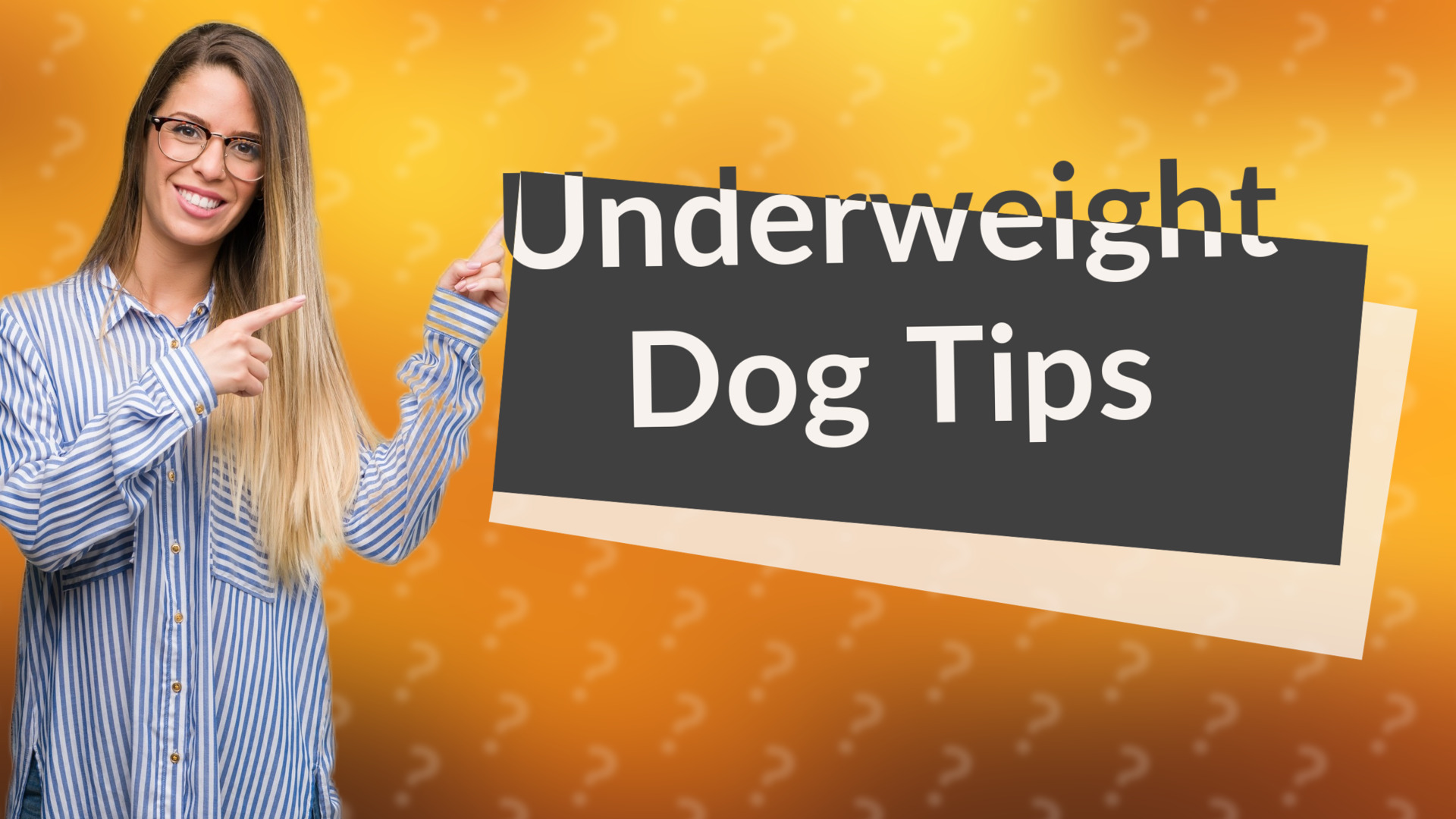 Underweight Dog Tips