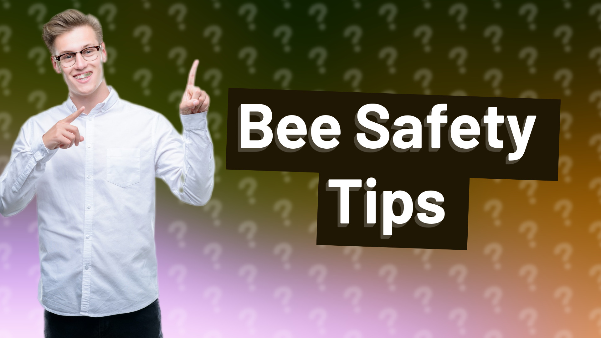 Bee Safety Tips