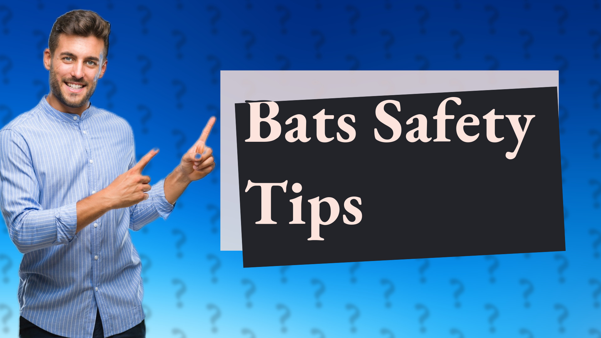 Bats Safety Tips