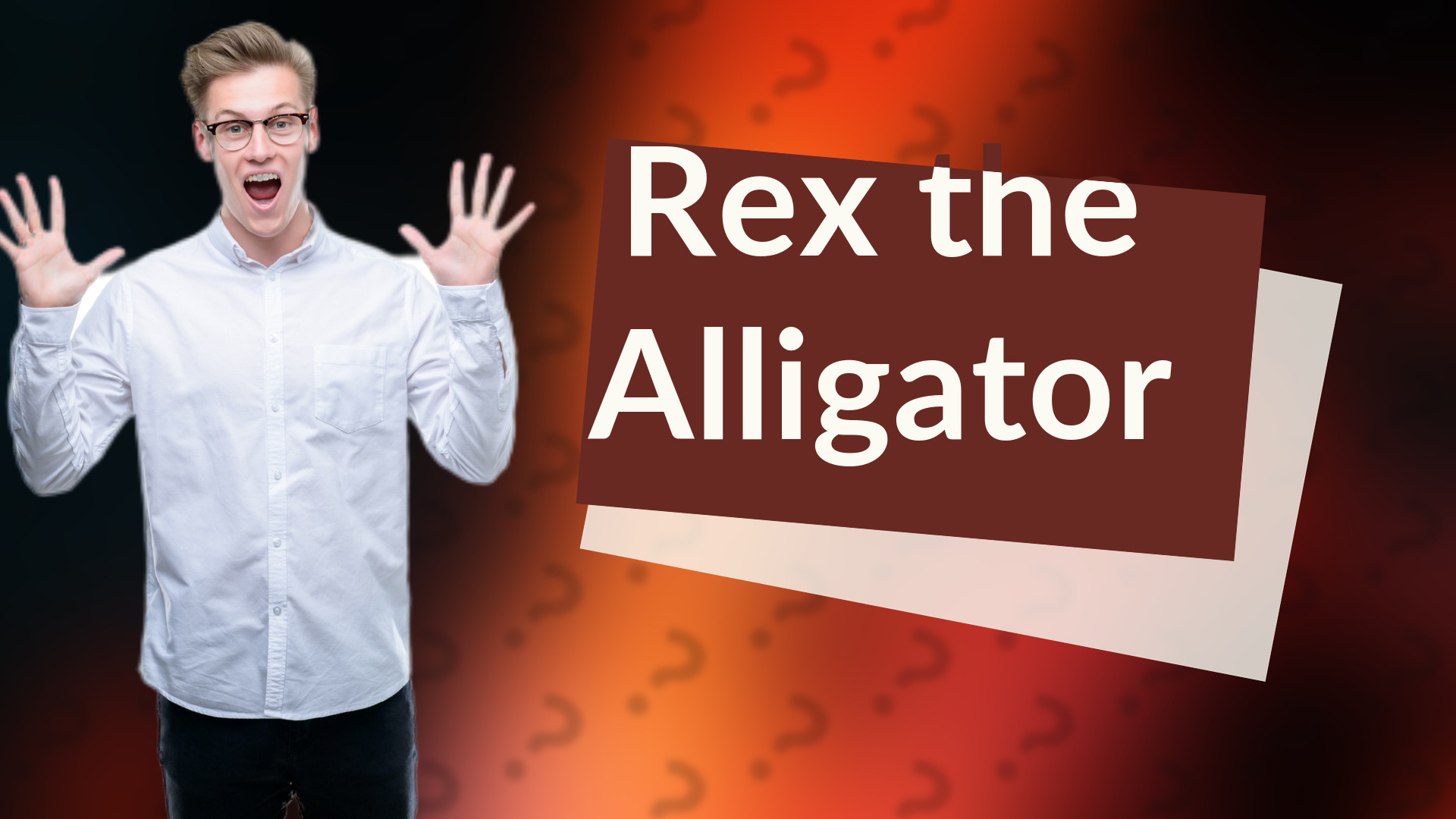 Rex the Alligator