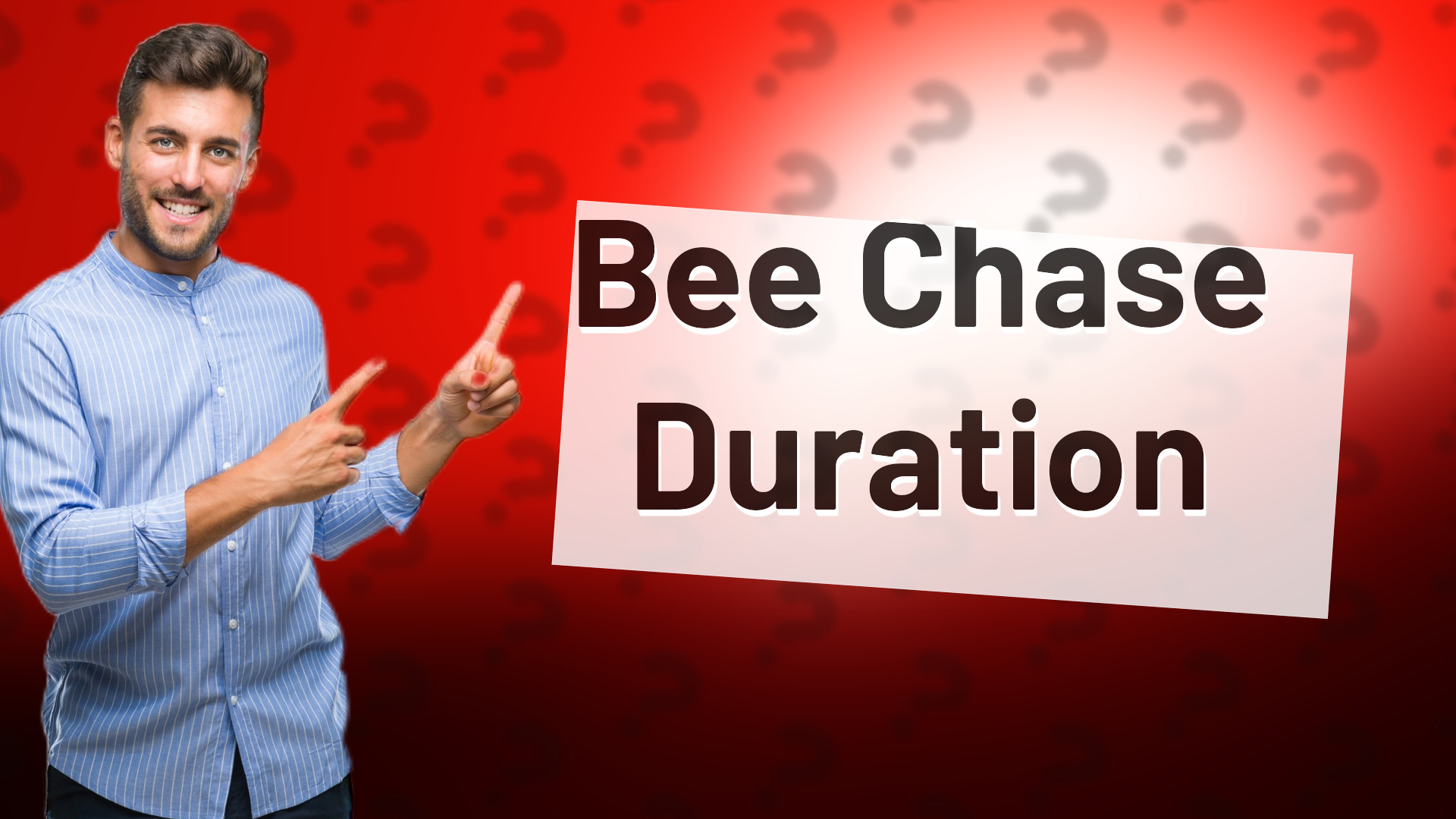Bee Chase Duration