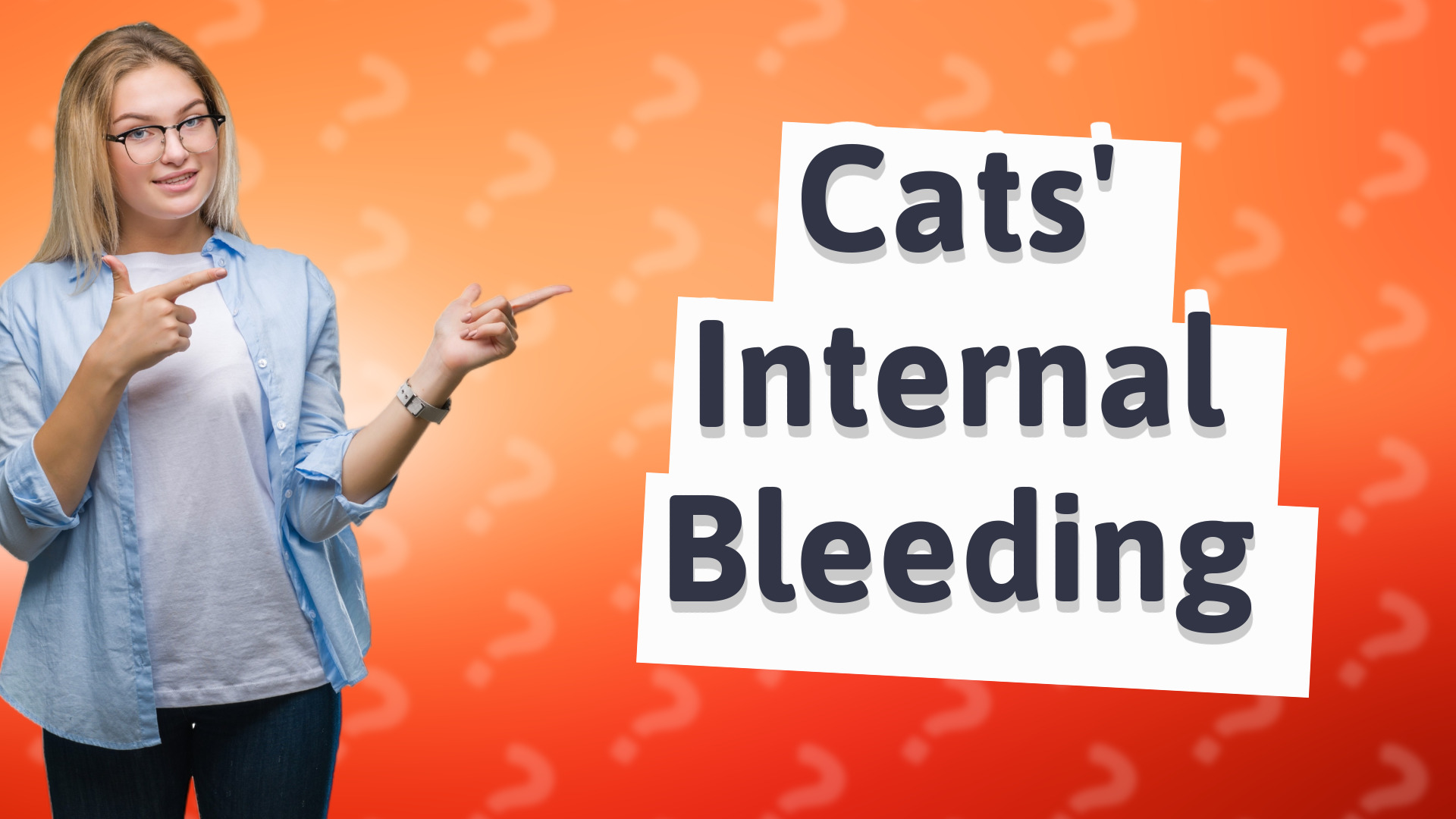 Cats' Internal Bleeding