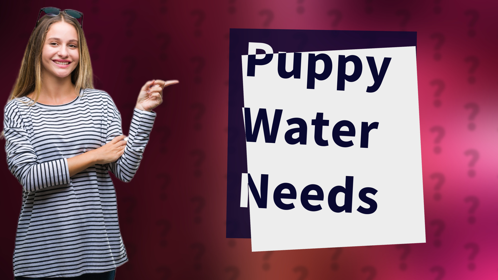 Puppy Water Needs