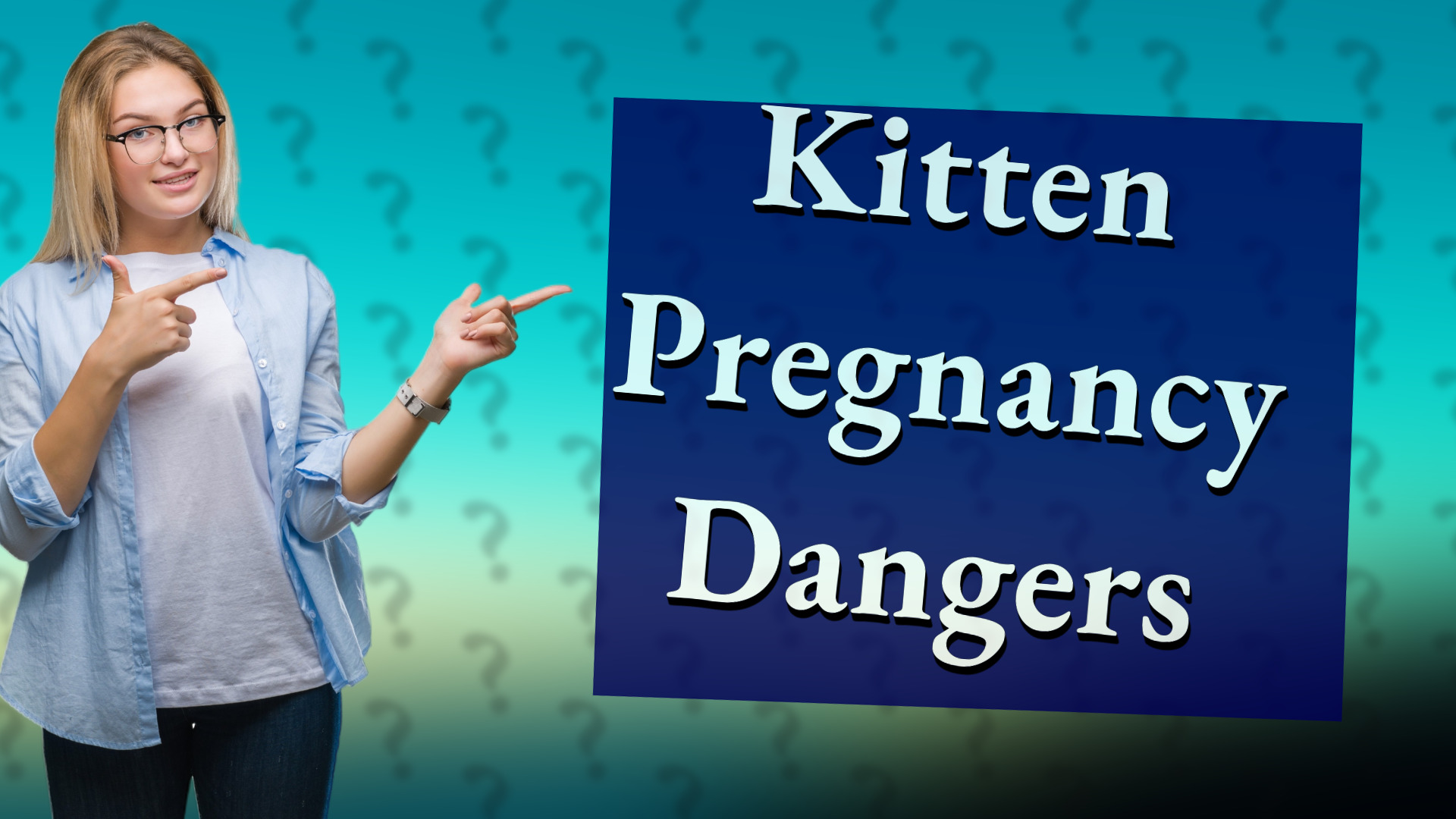 Kitten Pregnancy Dangers