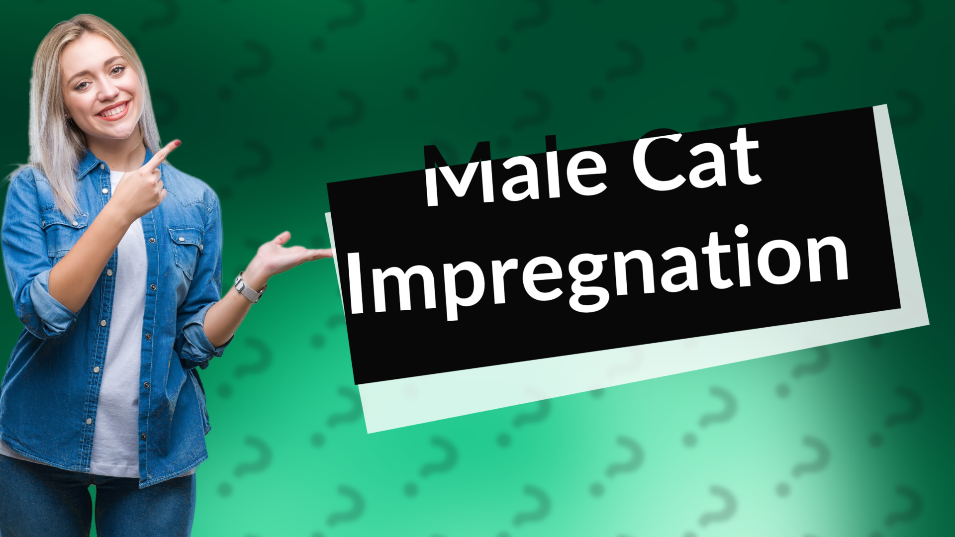Male Cat Impregnation