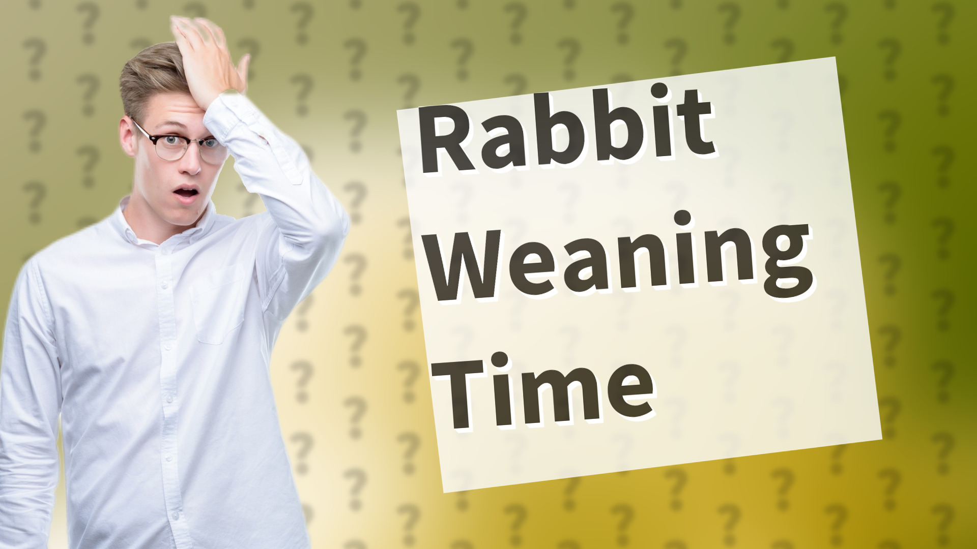 Rabbit Weaning Time