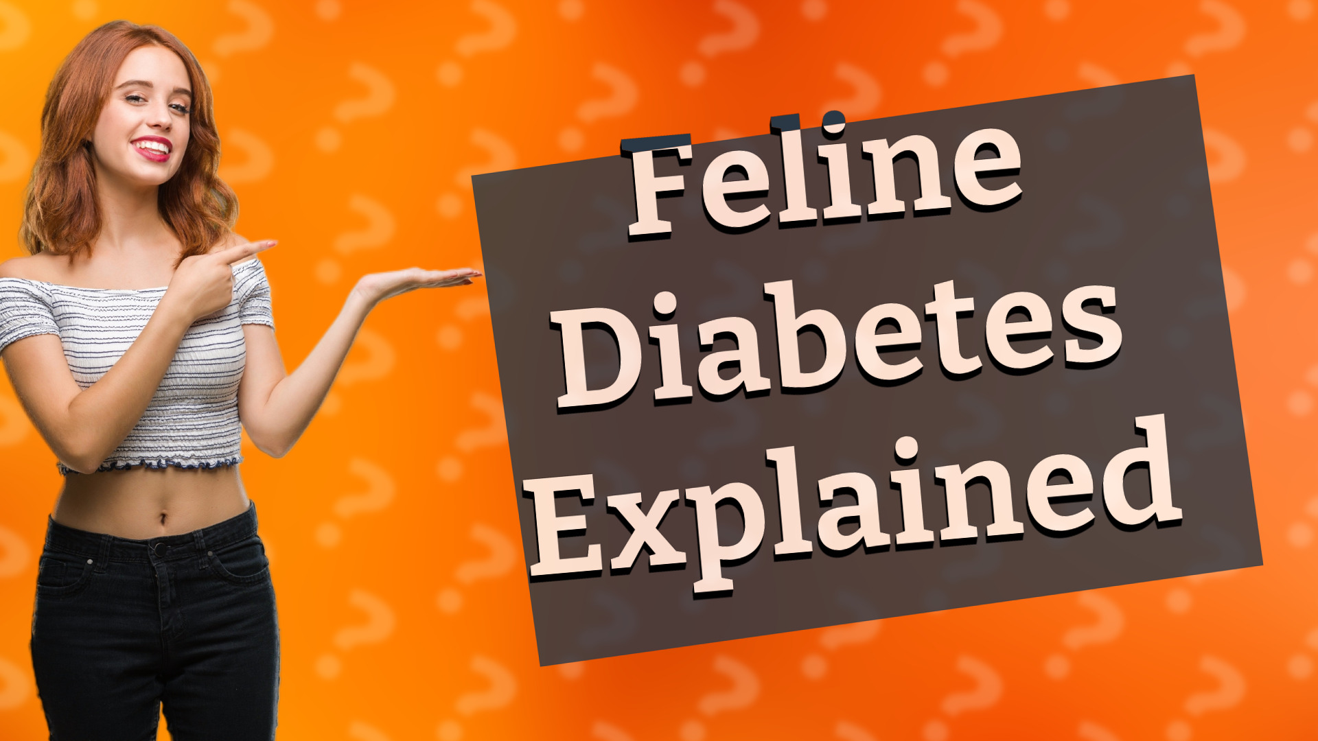 Feline Diabetes Explained