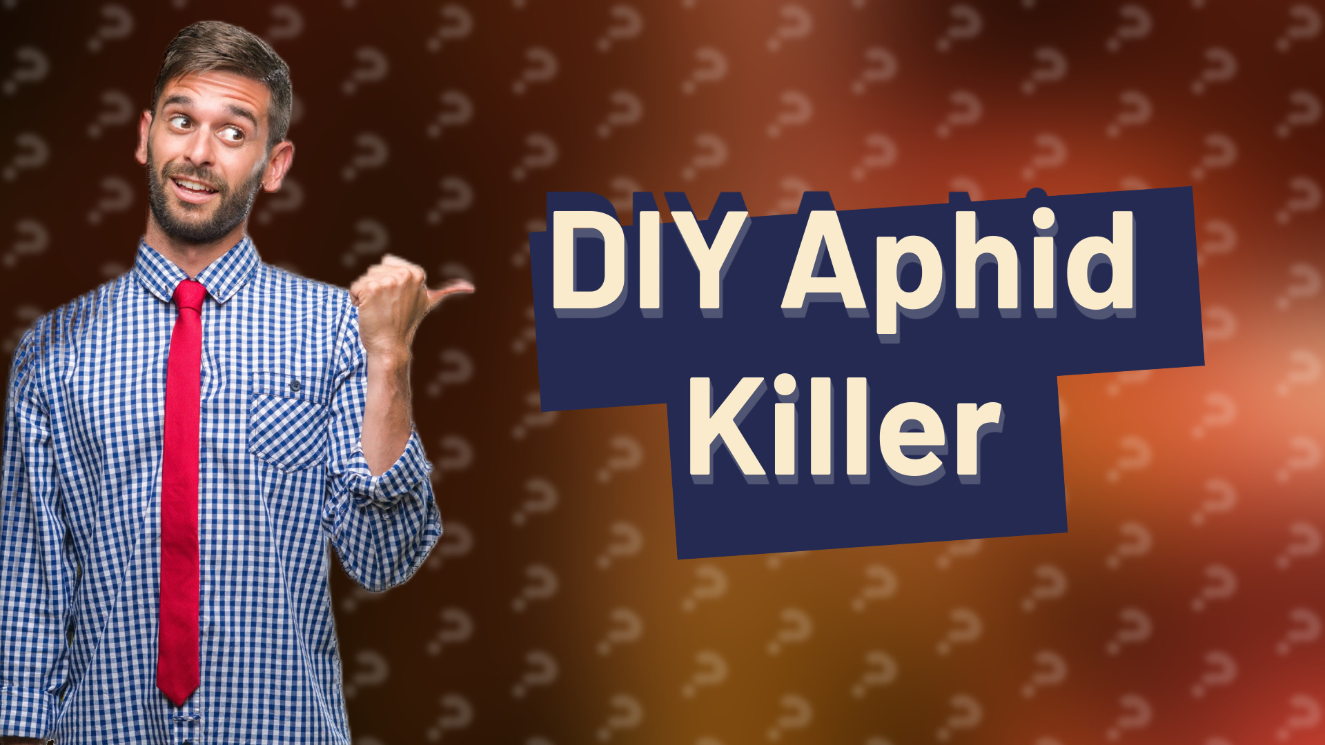 DIY Aphid Killer