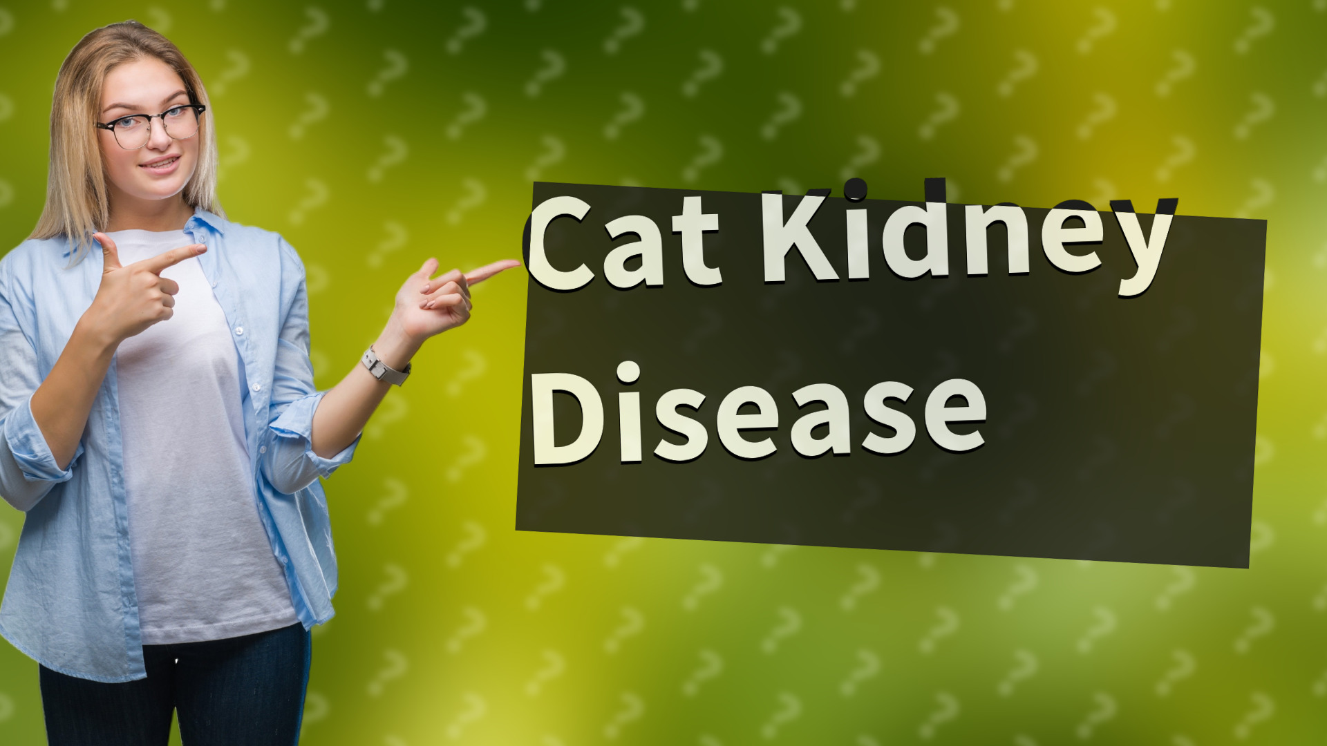 Cat Kidney Disease