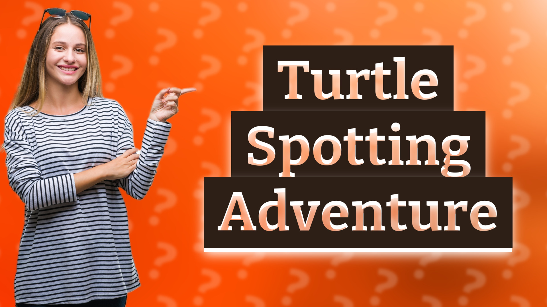 Turtle Spotting Adventure