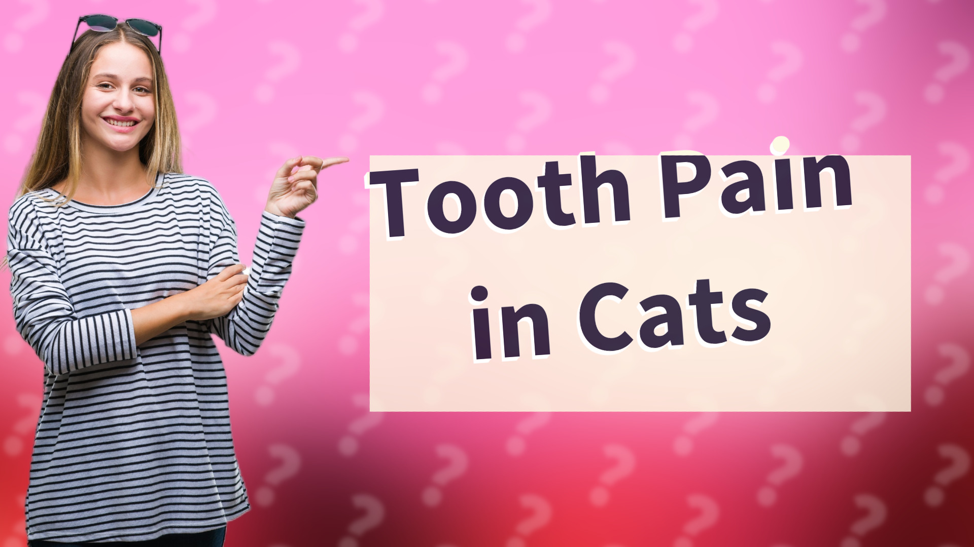Tooth Pain in Cats