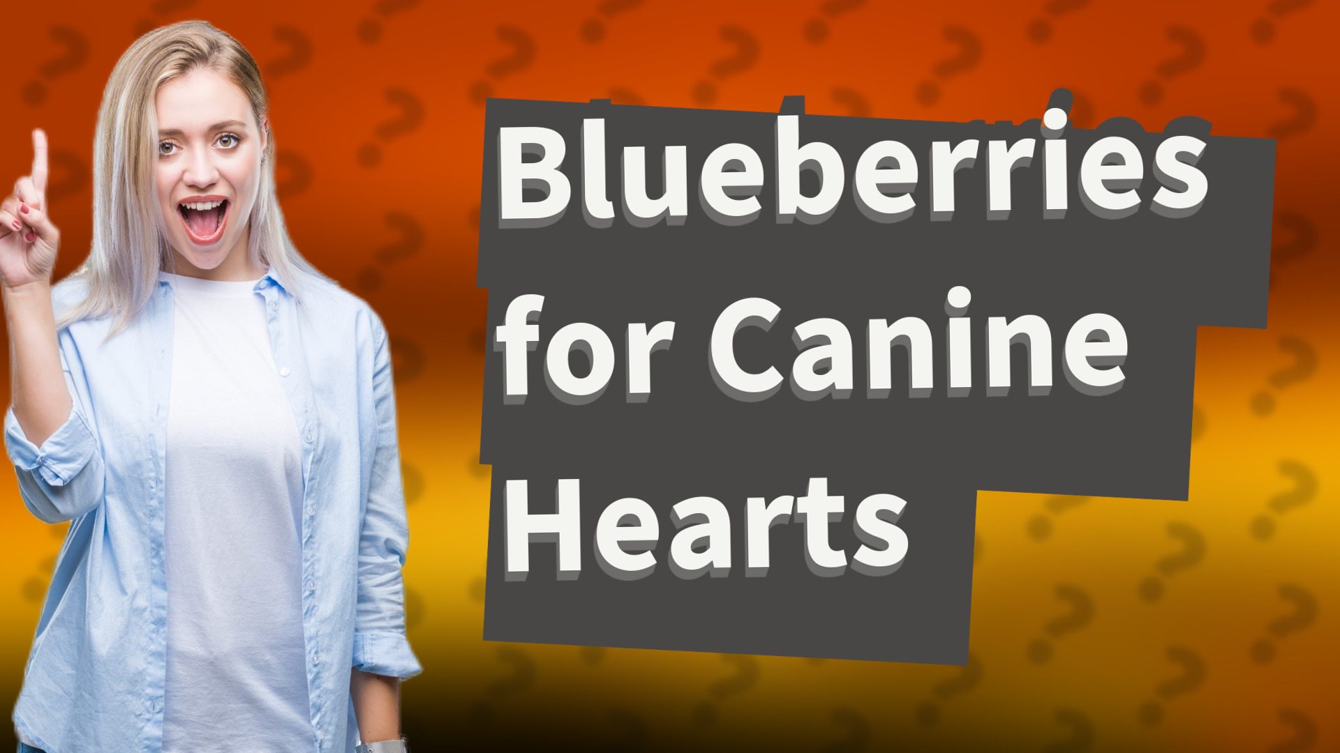 Blueberries for Canine Hearts