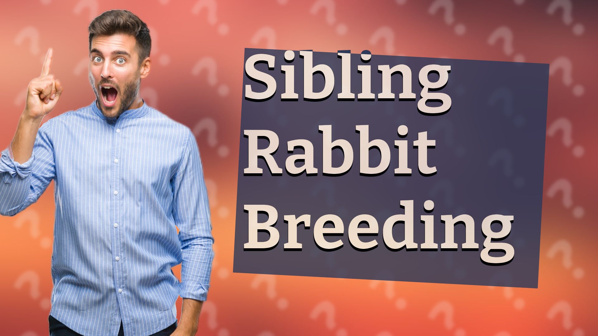 Sibling Rabbit Breeding