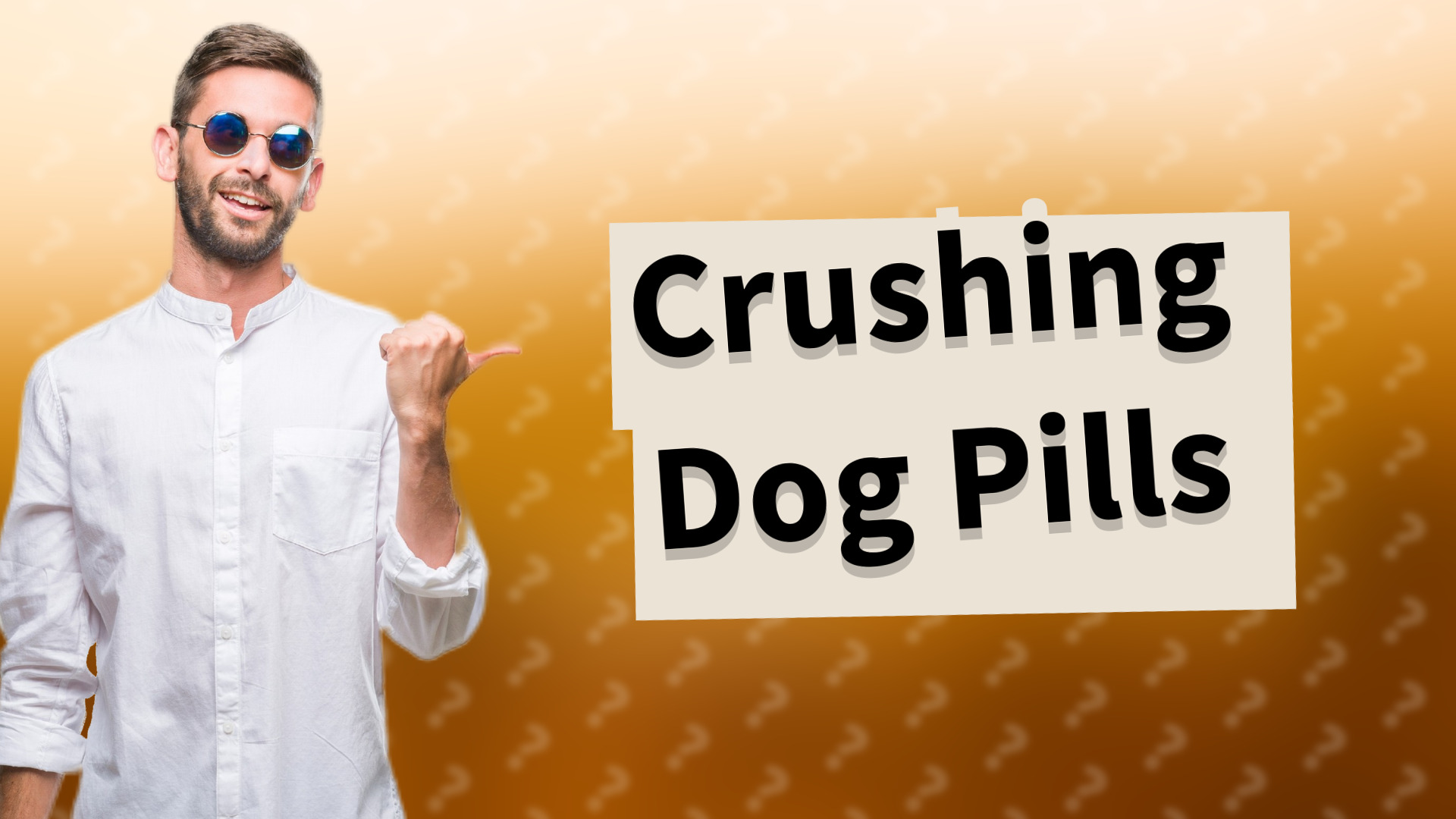 Crushing Dog Pills