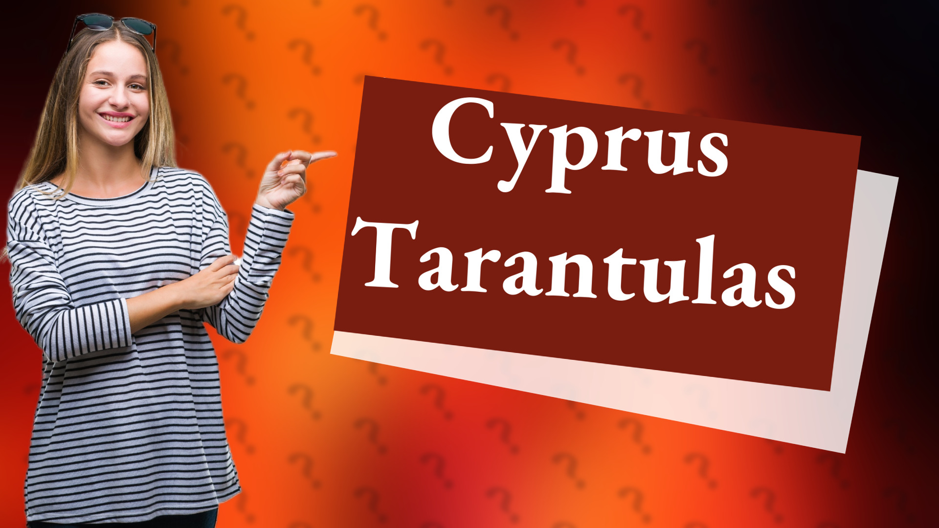 Cyprus Tarantulas