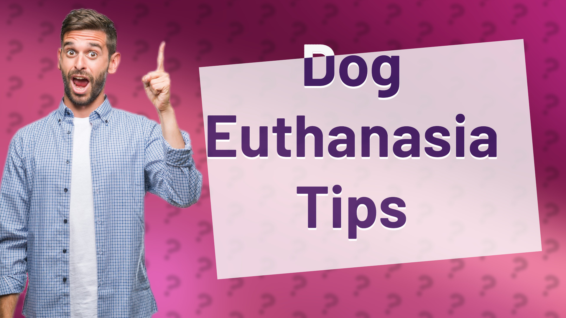 Dog Euthanasia Tips