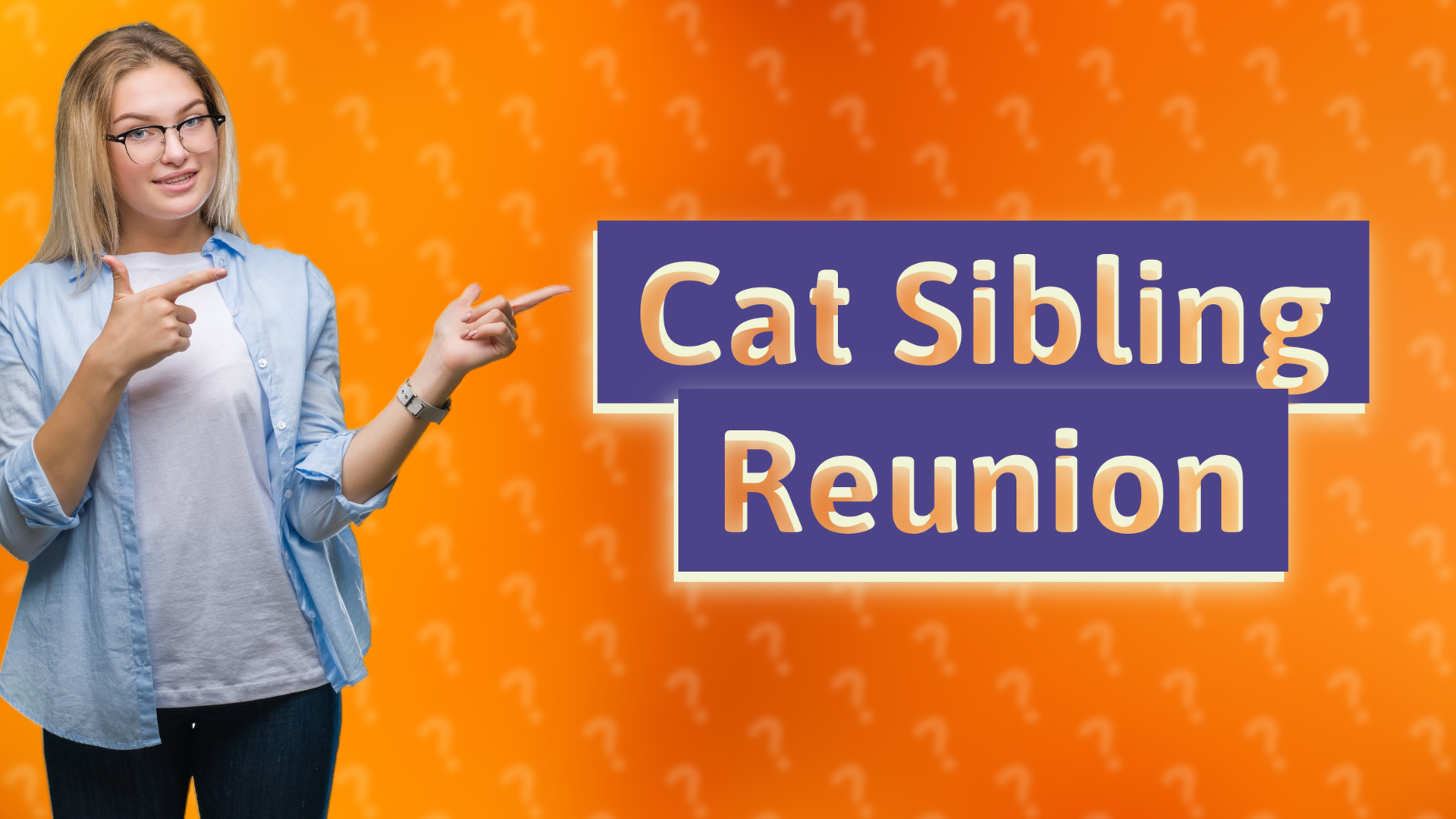 Cat Sibling Reunion