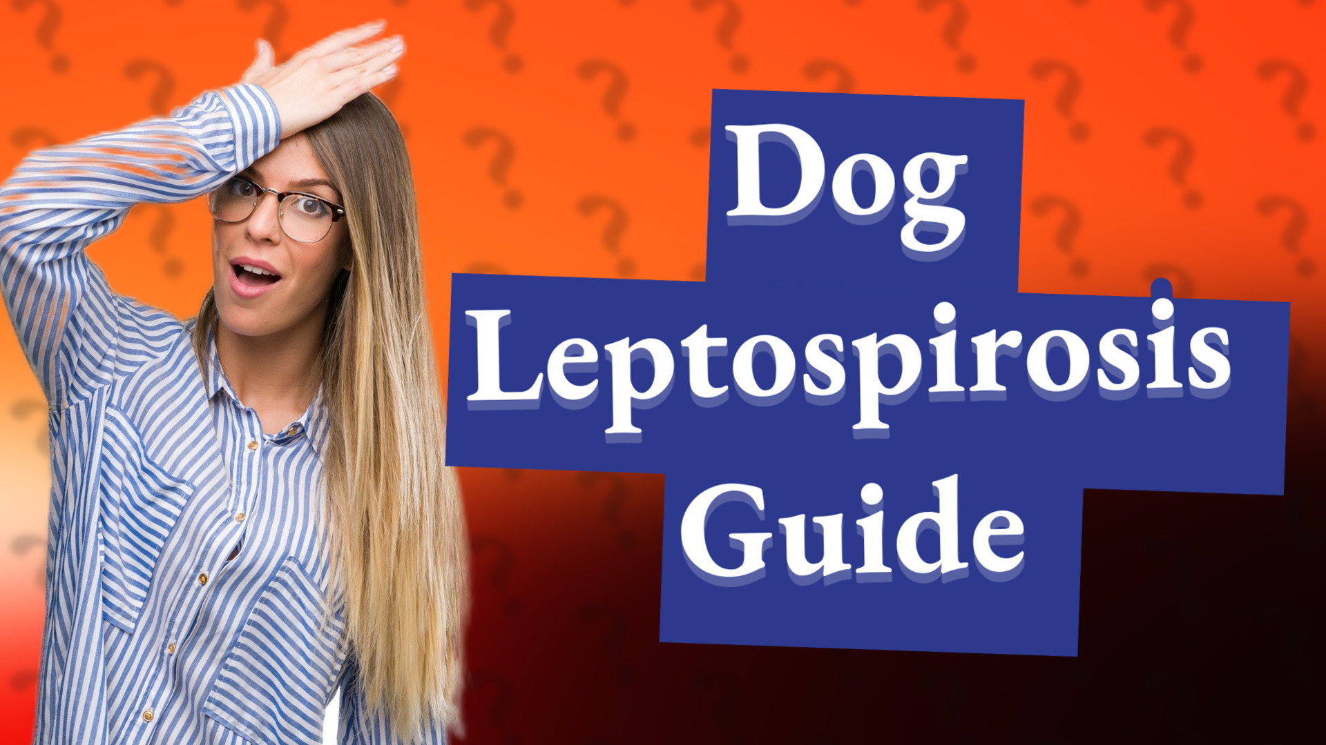 Dog Leptospirosis Guide