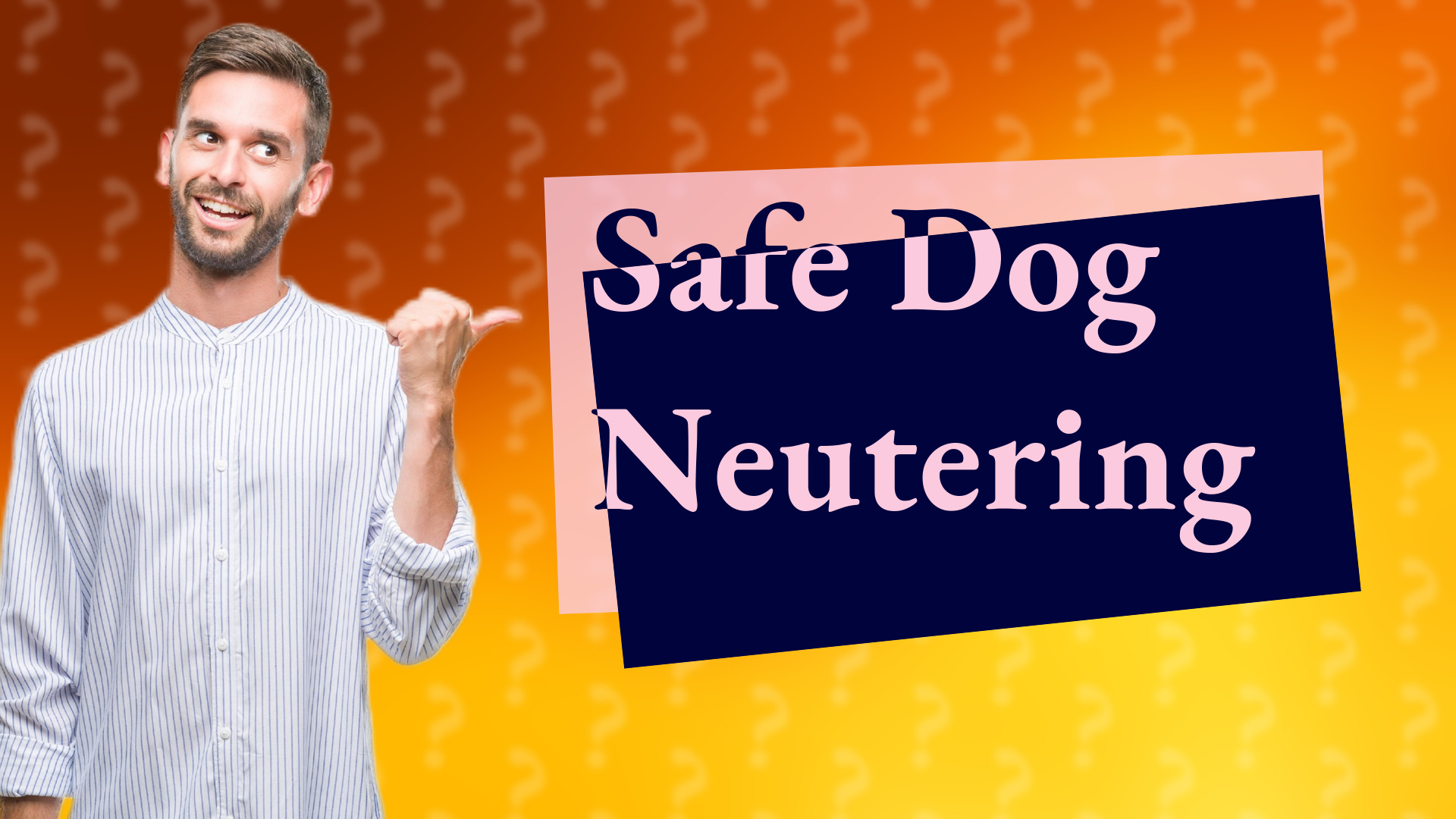 Safe Dog Neutering