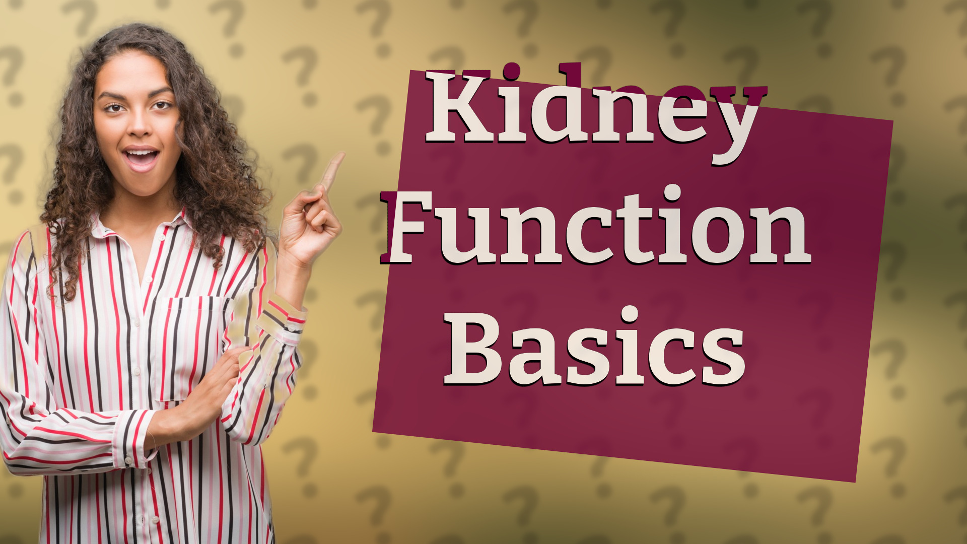 Kidney Function Basics