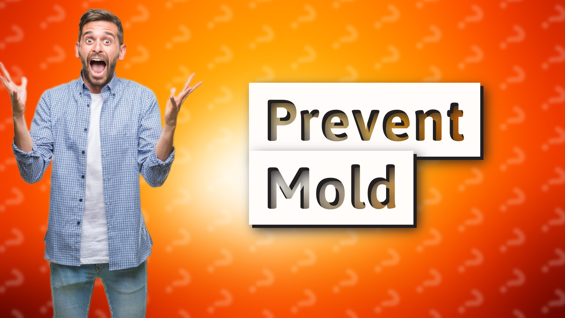 Prevent Mold