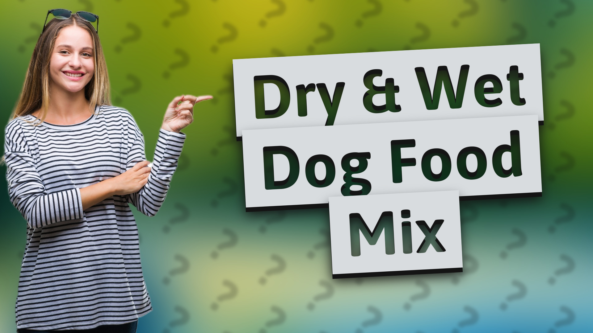 Dry & Wet Dog Food Mix