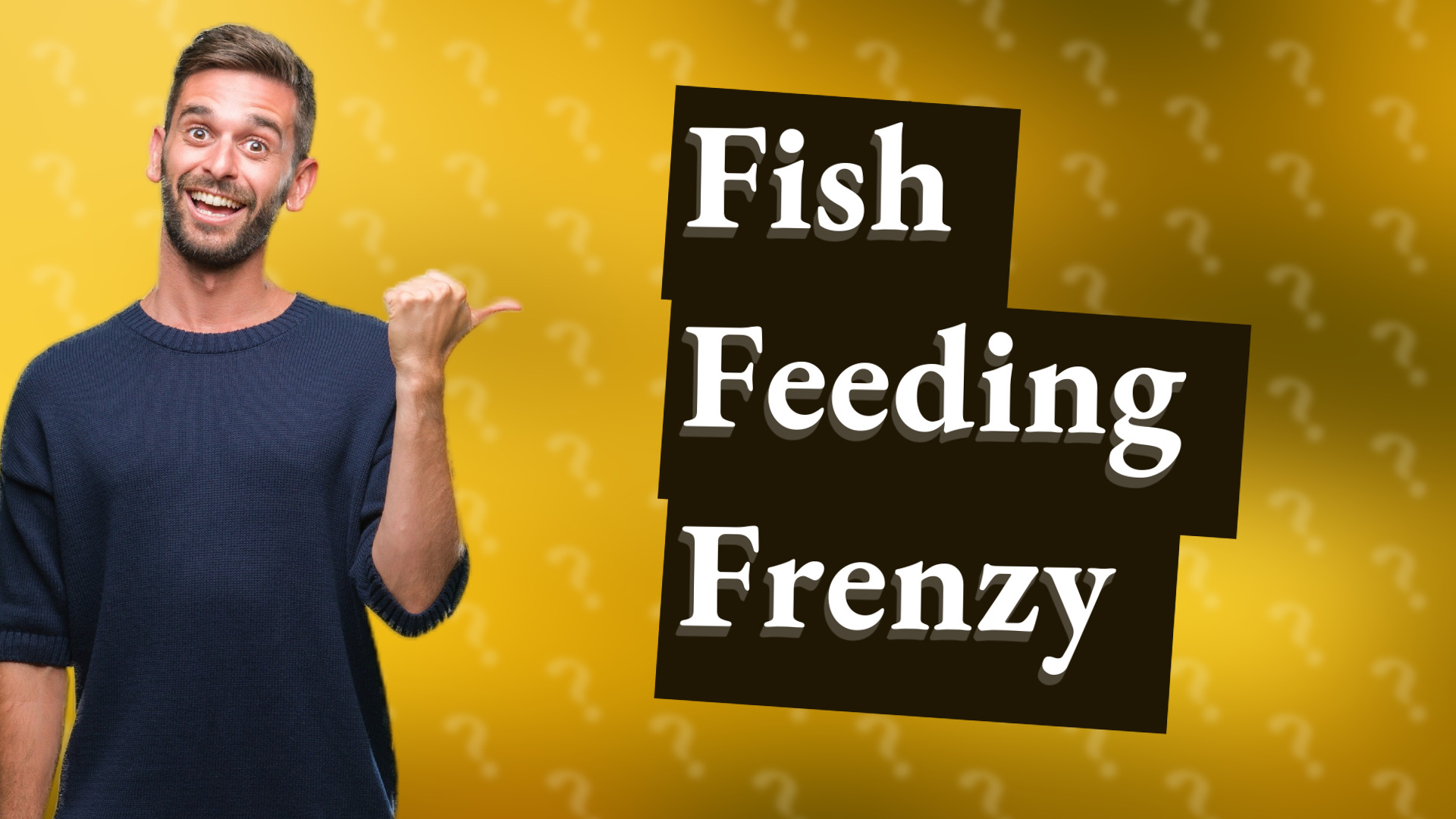 Fish Feeding Frenzy