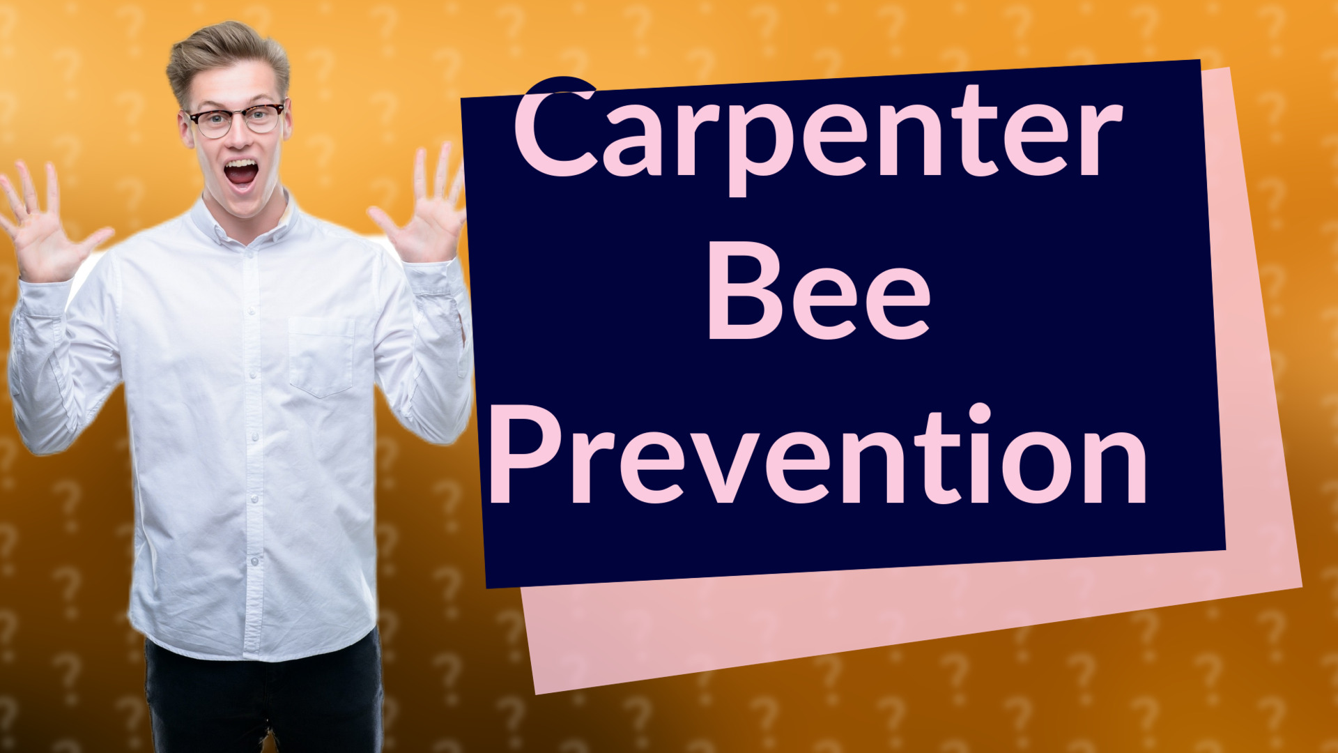 Carpenter Bee Prevention