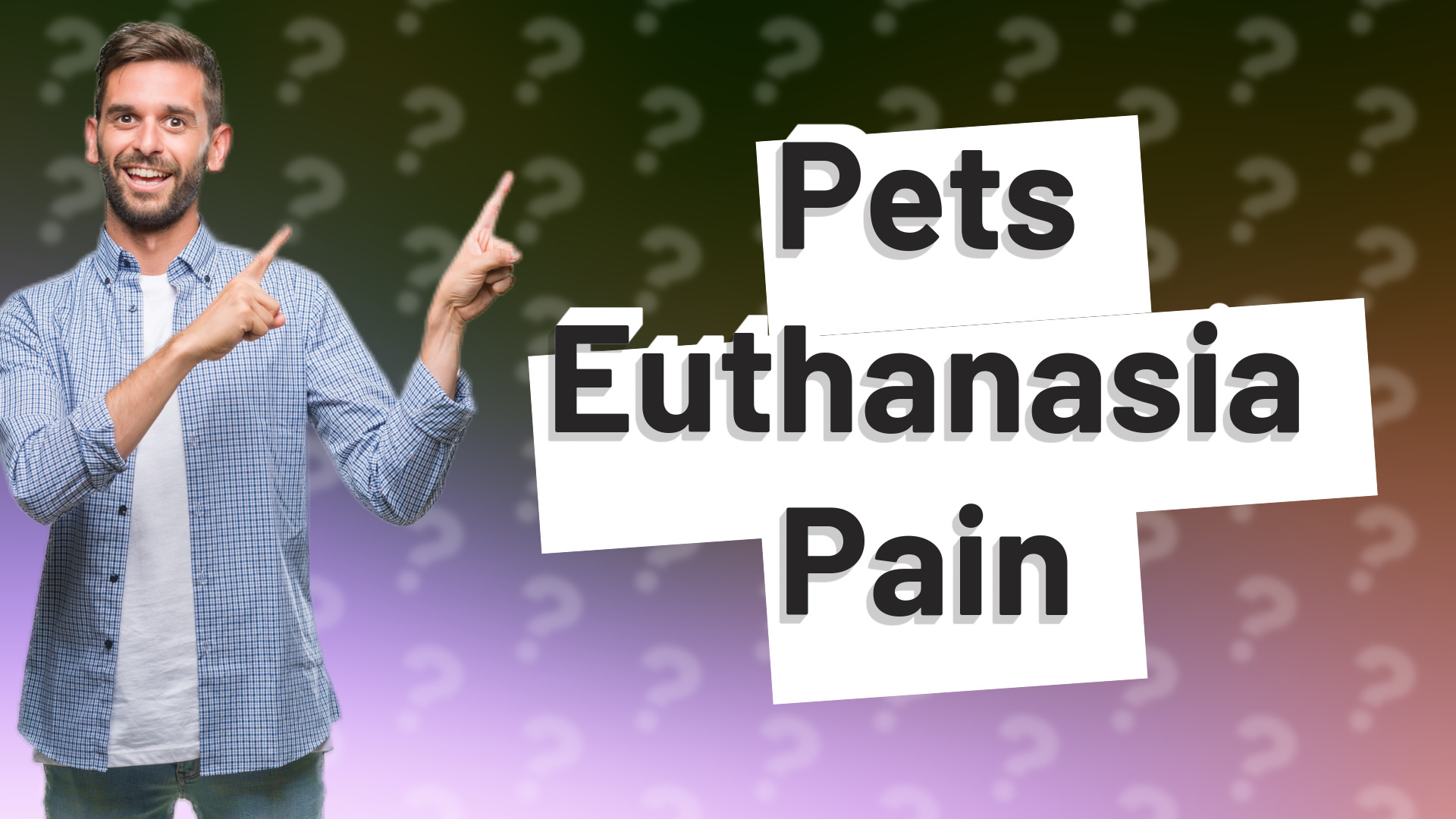 Pets Euthanasia Pain